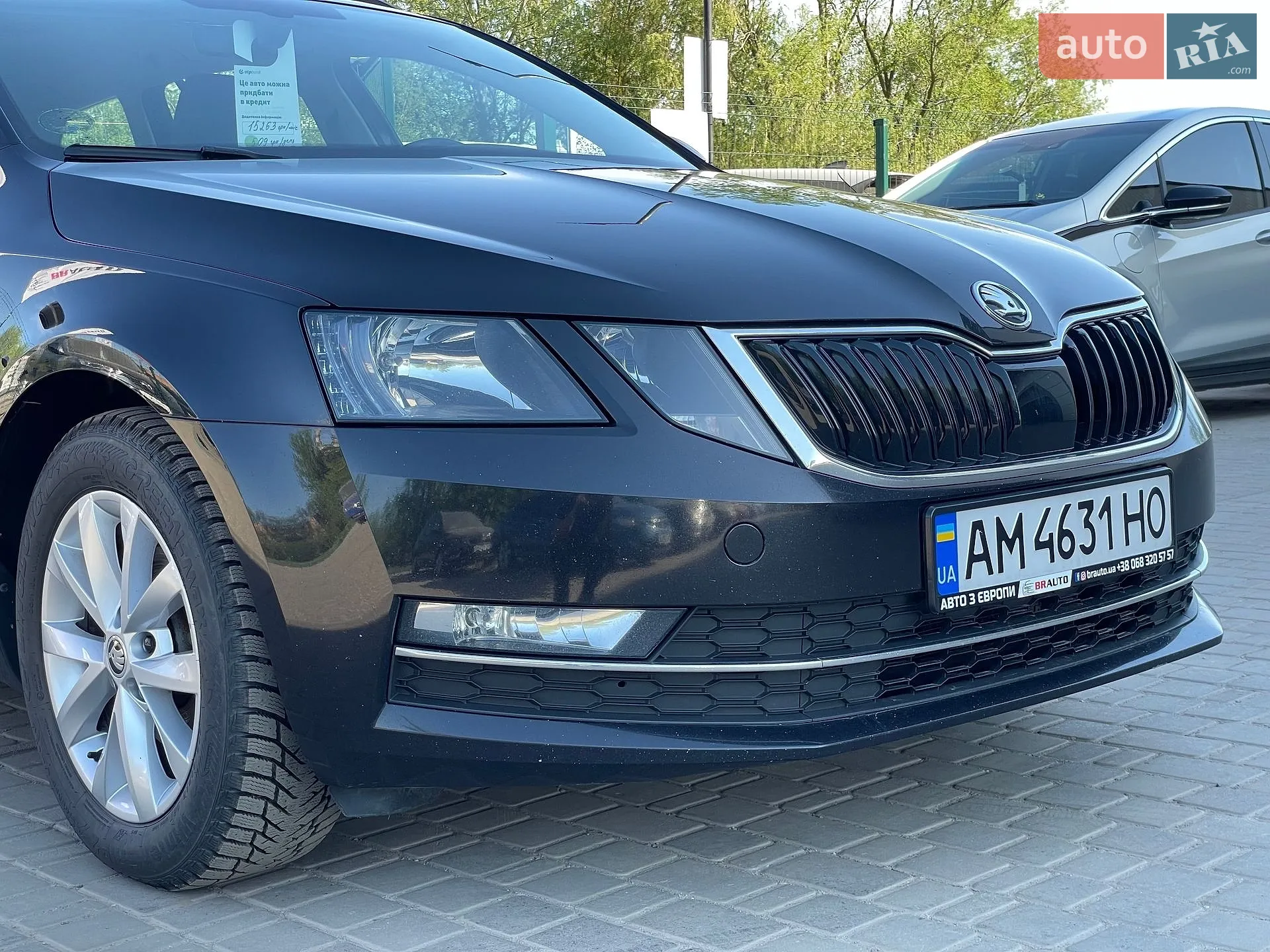 2019 Skoda Octavia - мініатюра 8