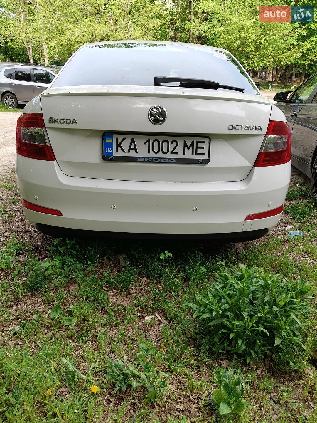 2013 Skoda Octavia - мініатюра 8