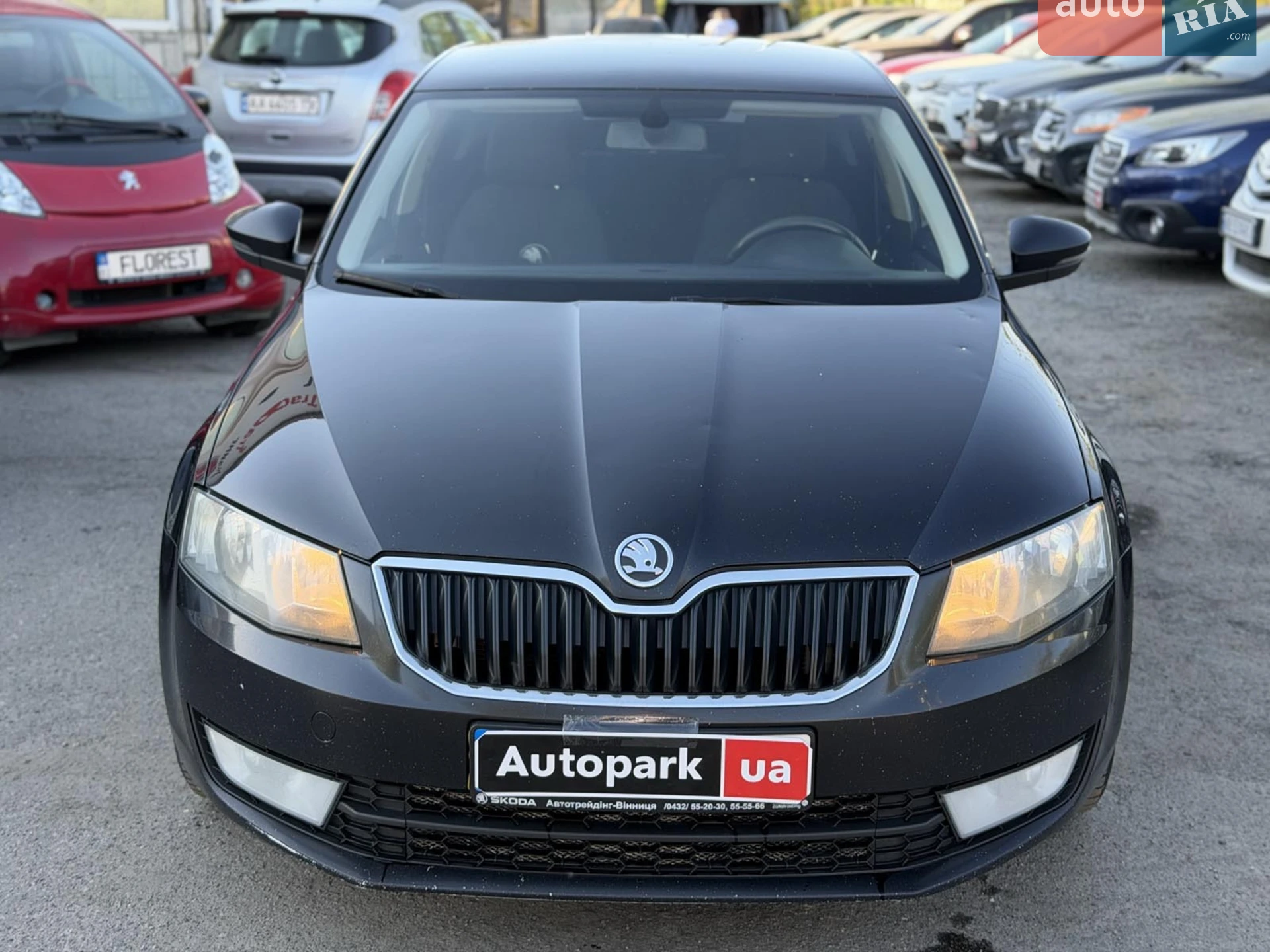 2013 Skoda Octavia - мініатюра 2