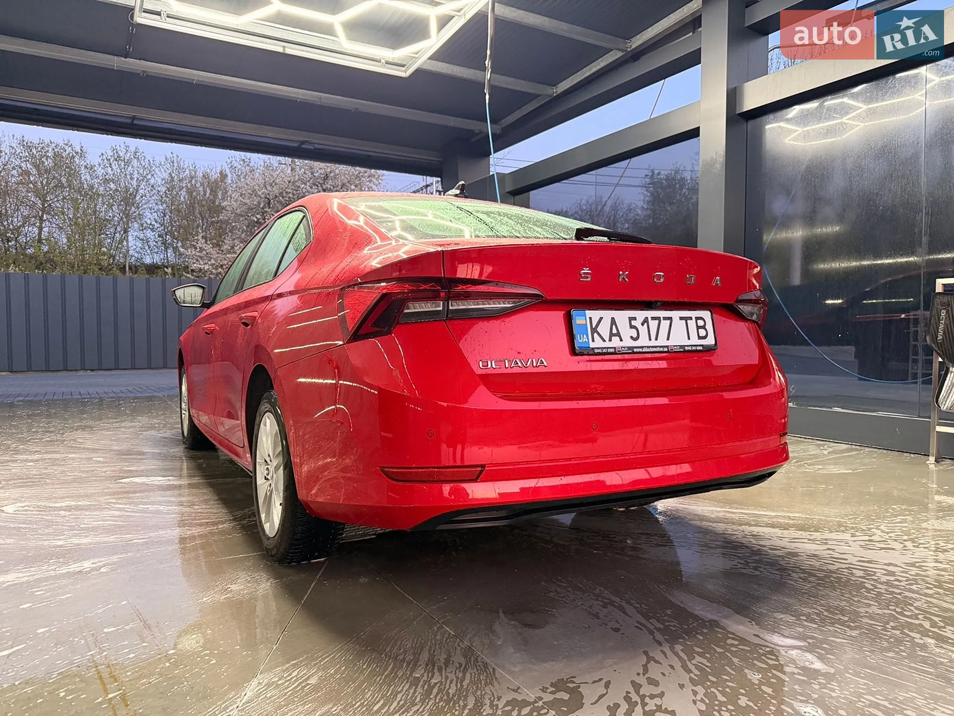 2021 Skoda Octavia - мініатюра 3