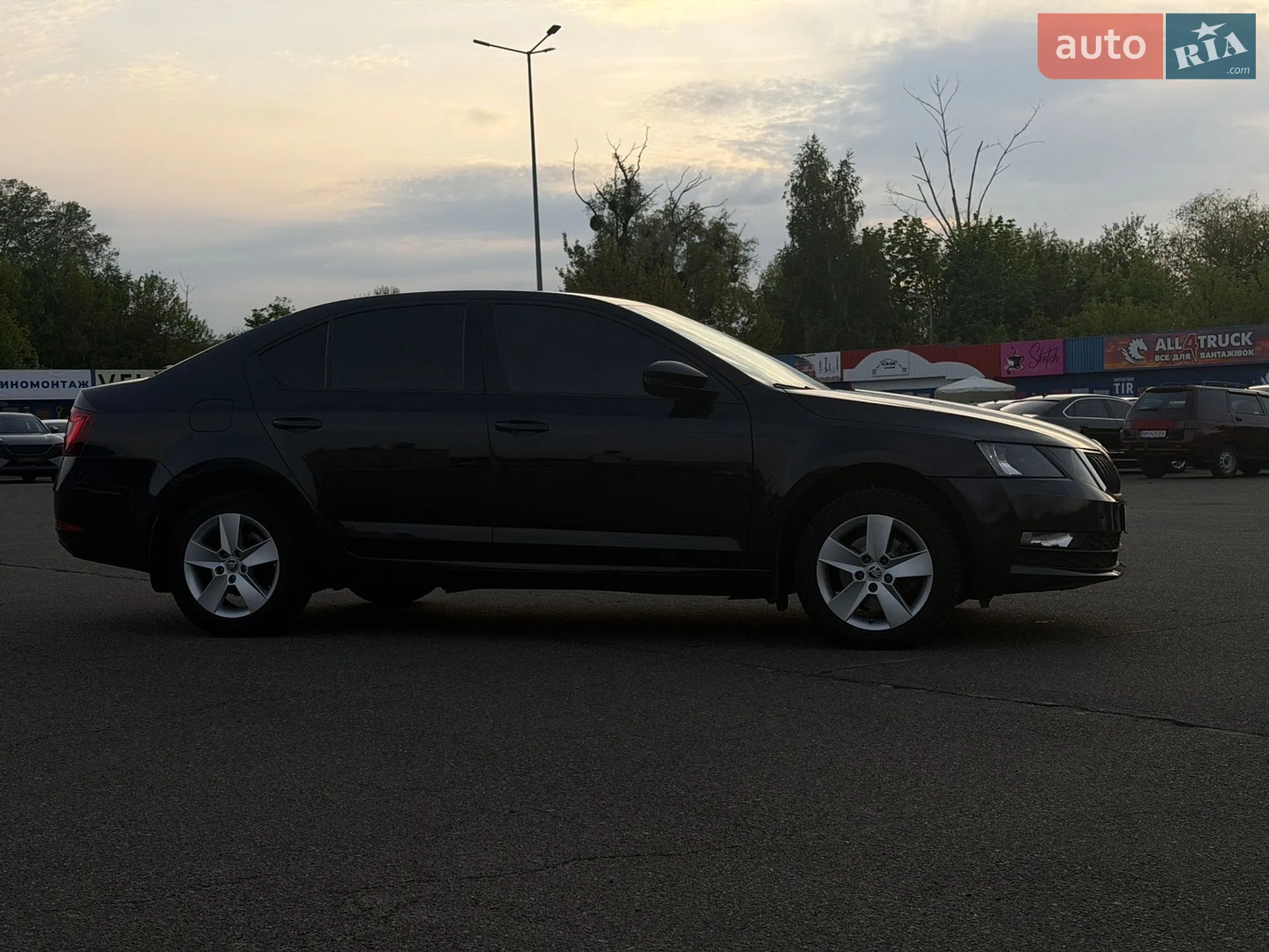 2017 Skoda Octavia - мініатюра 7