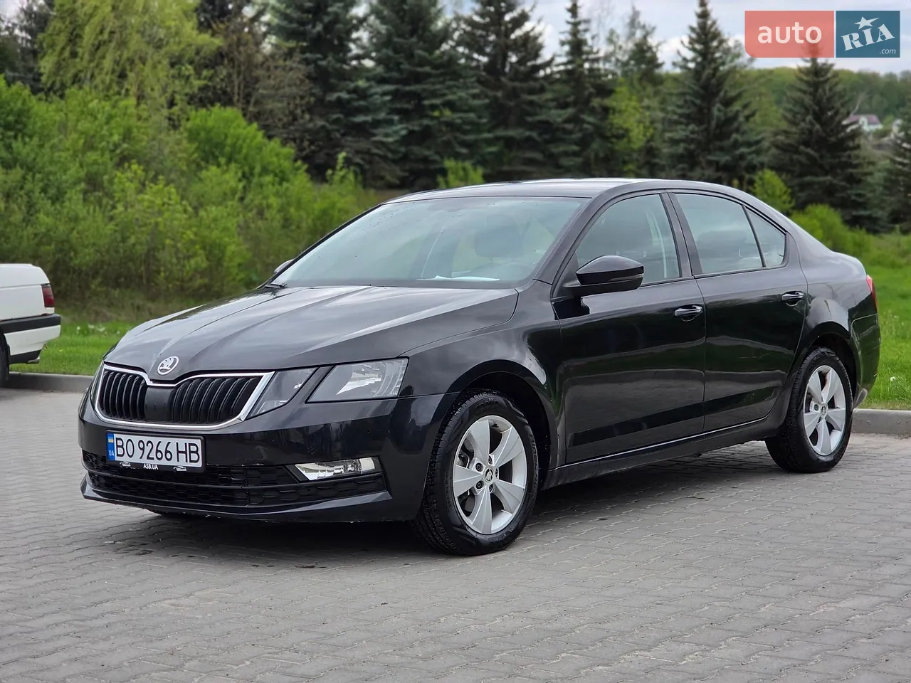 2019 Skoda Octavia - мініатюра 16