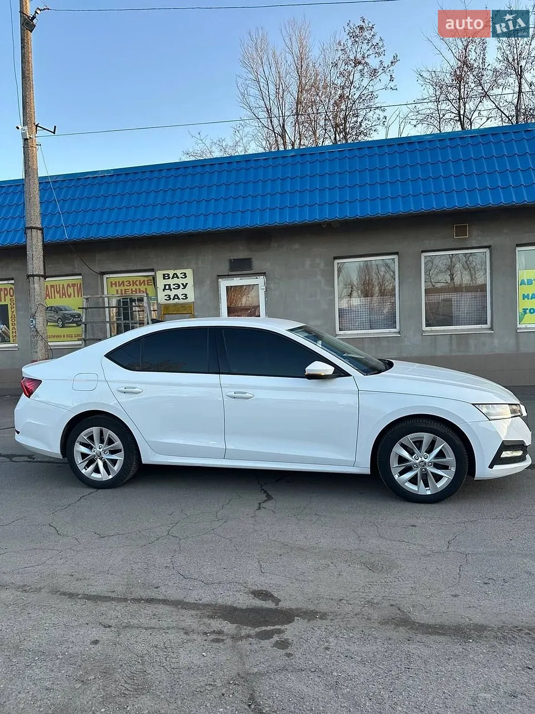 2020 Skoda Octavia - мініатюра 46