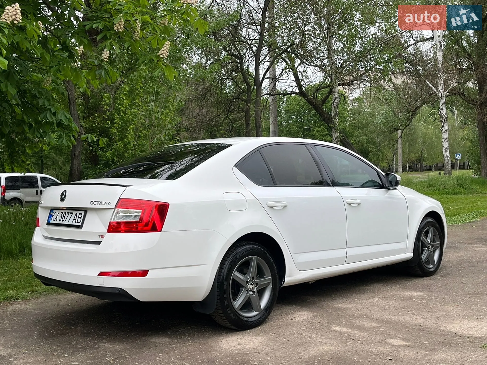 2013 Skoda Octavia - мініатюра 14
