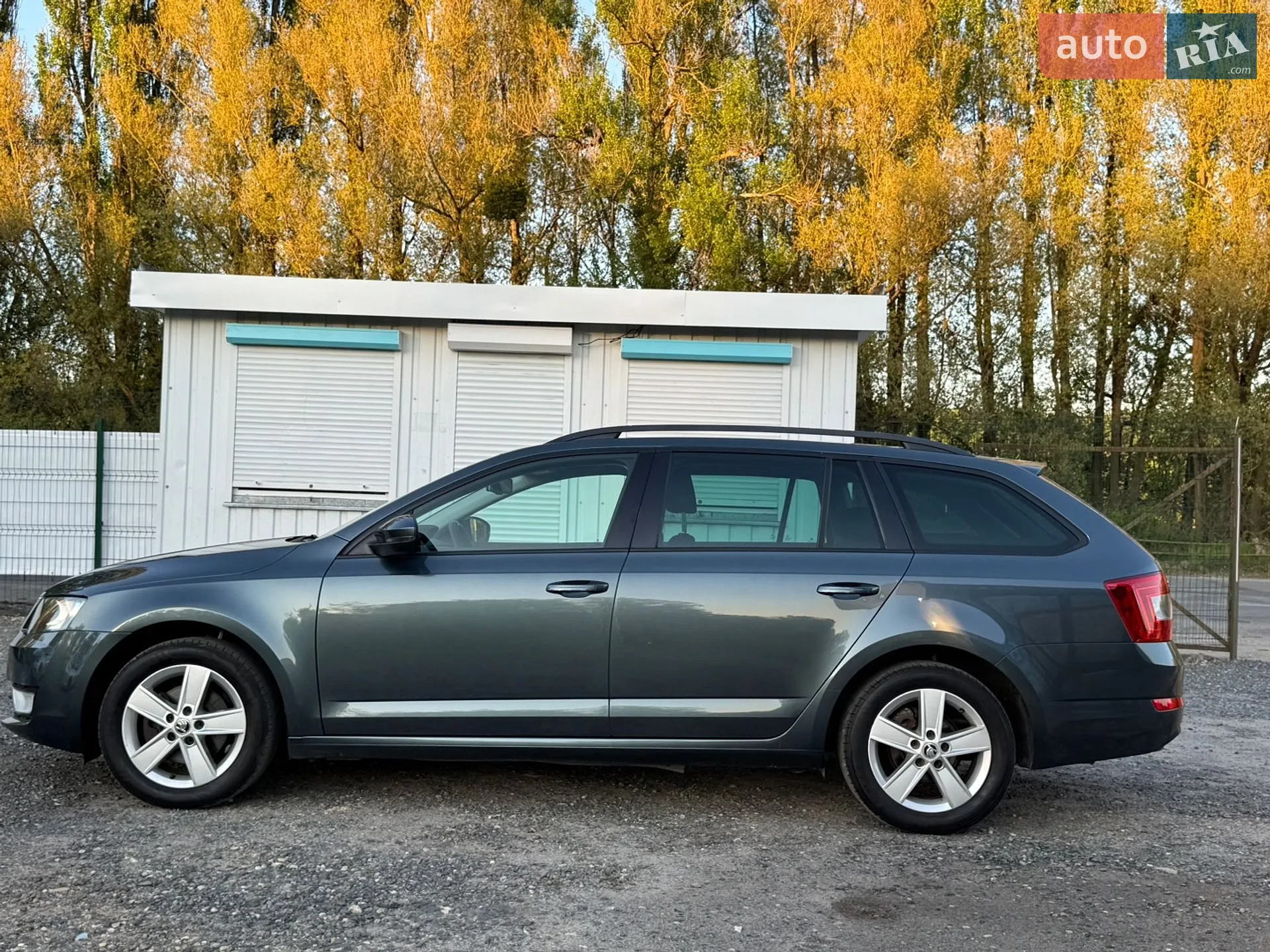 2016 Skoda Octavia - мініатюра 3
