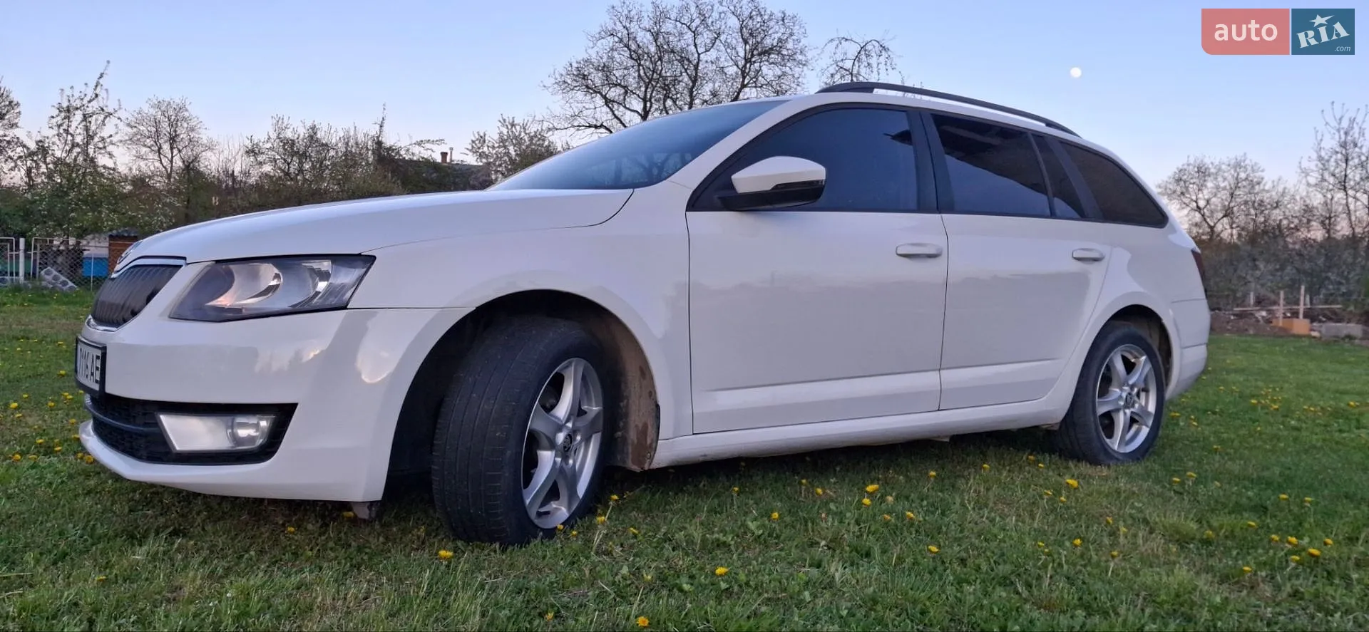2014 Skoda Octavia - мініатюра 24