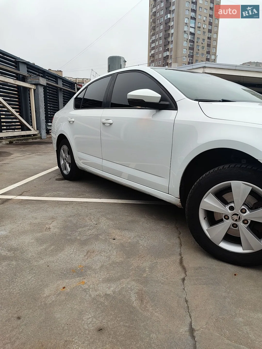 2014 Skoda Octavia - мініатюра 8