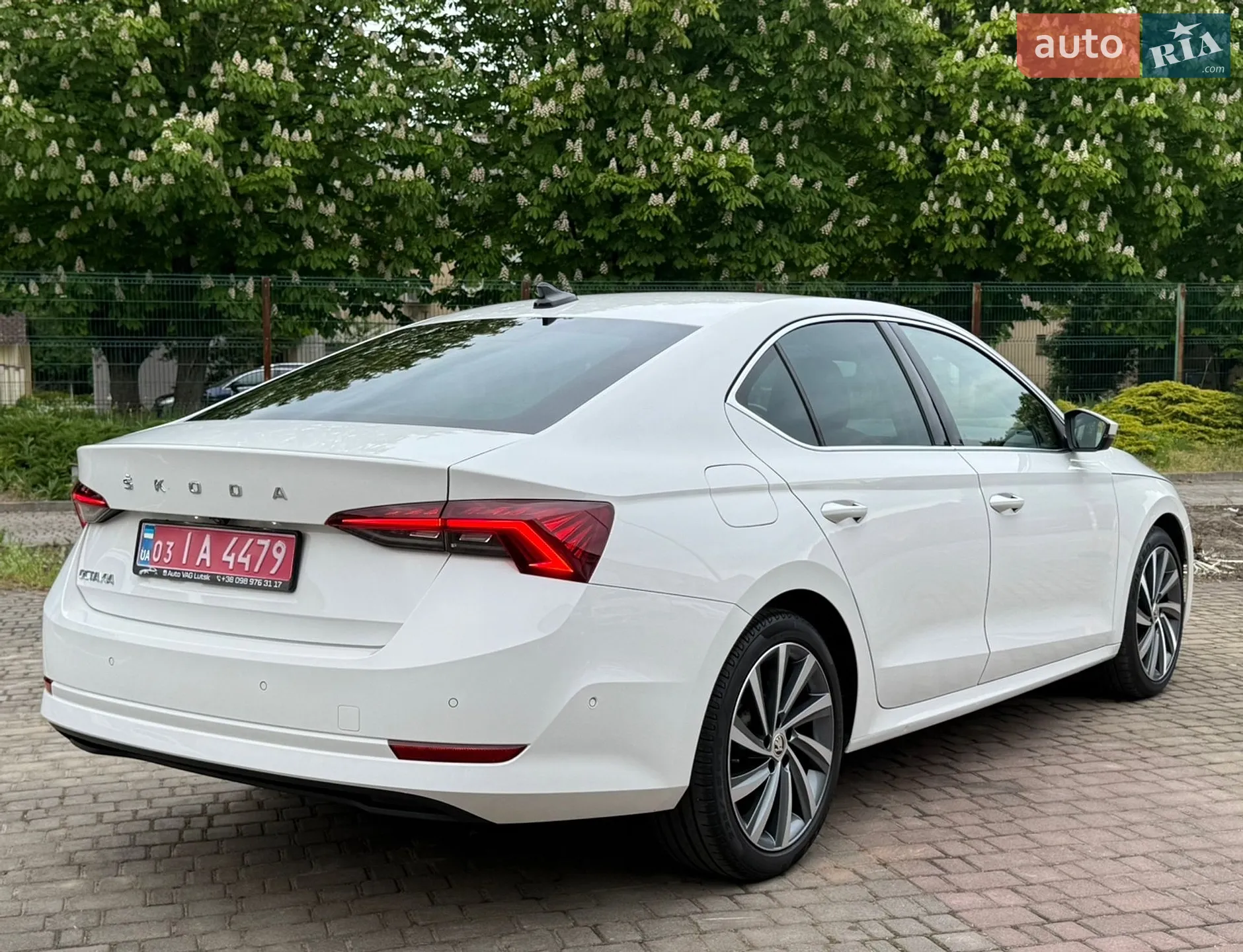 2020 Skoda Octavia - мініатюра 13