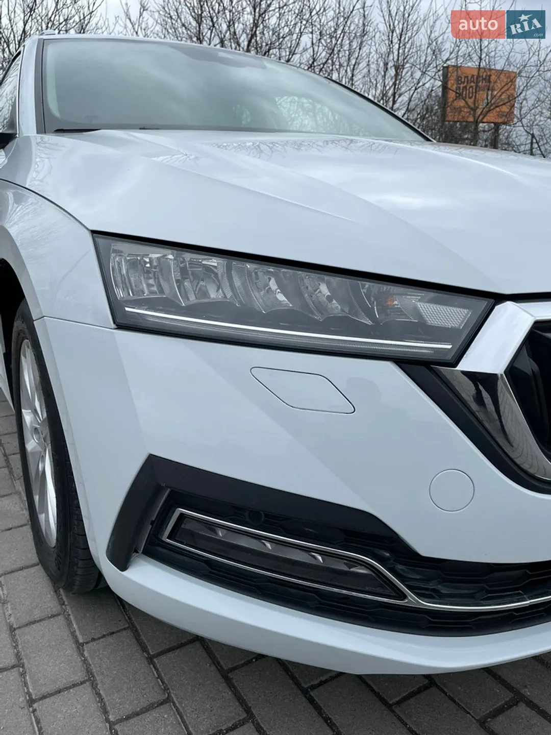 2020 Skoda Octavia - мініатюра 10