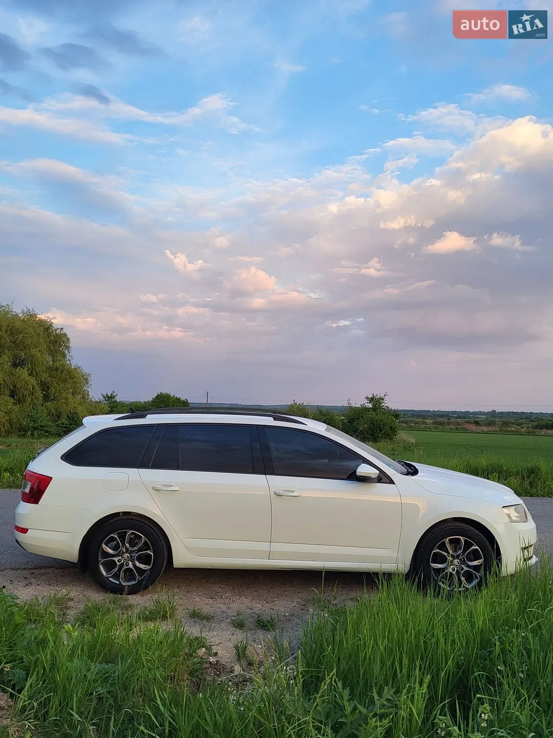 2015 Skoda Octavia - мініатюра 19