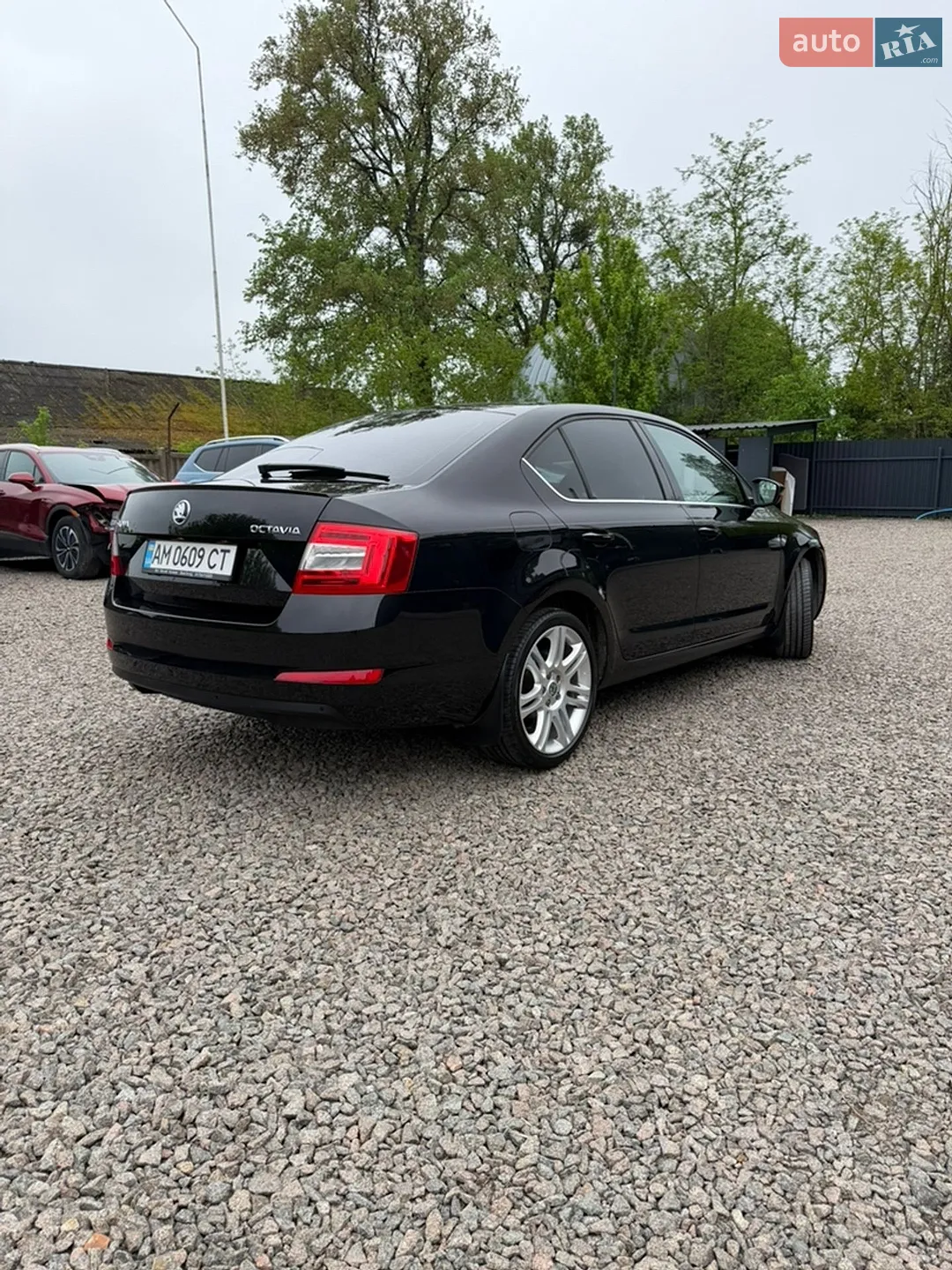 2015 Skoda Octavia - мініатюра 5