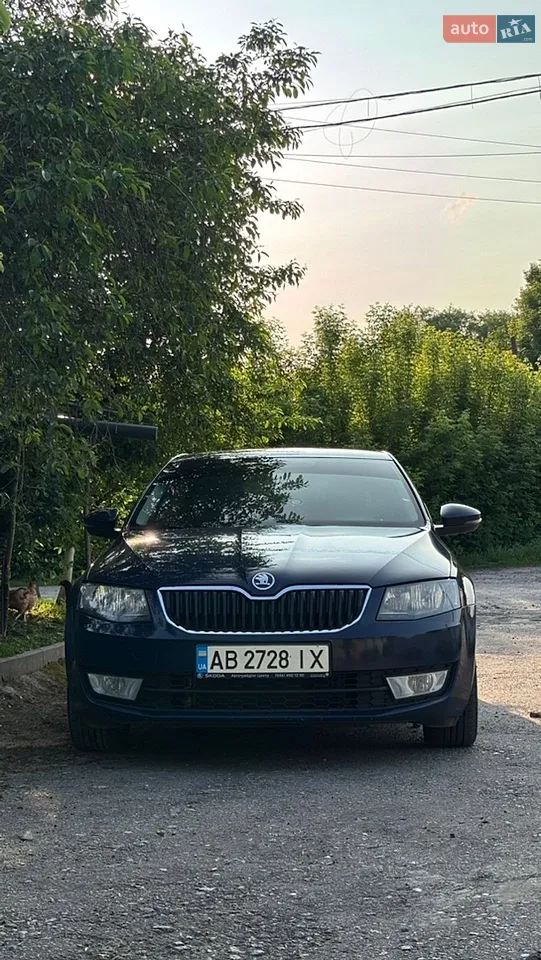 2017 Skoda Octavia - мініатюра 22