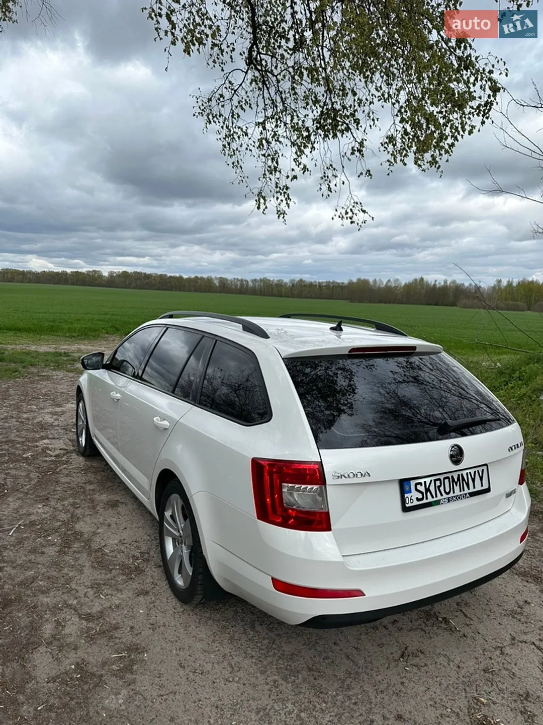 2015 Skoda Octavia - мініатюра 3
