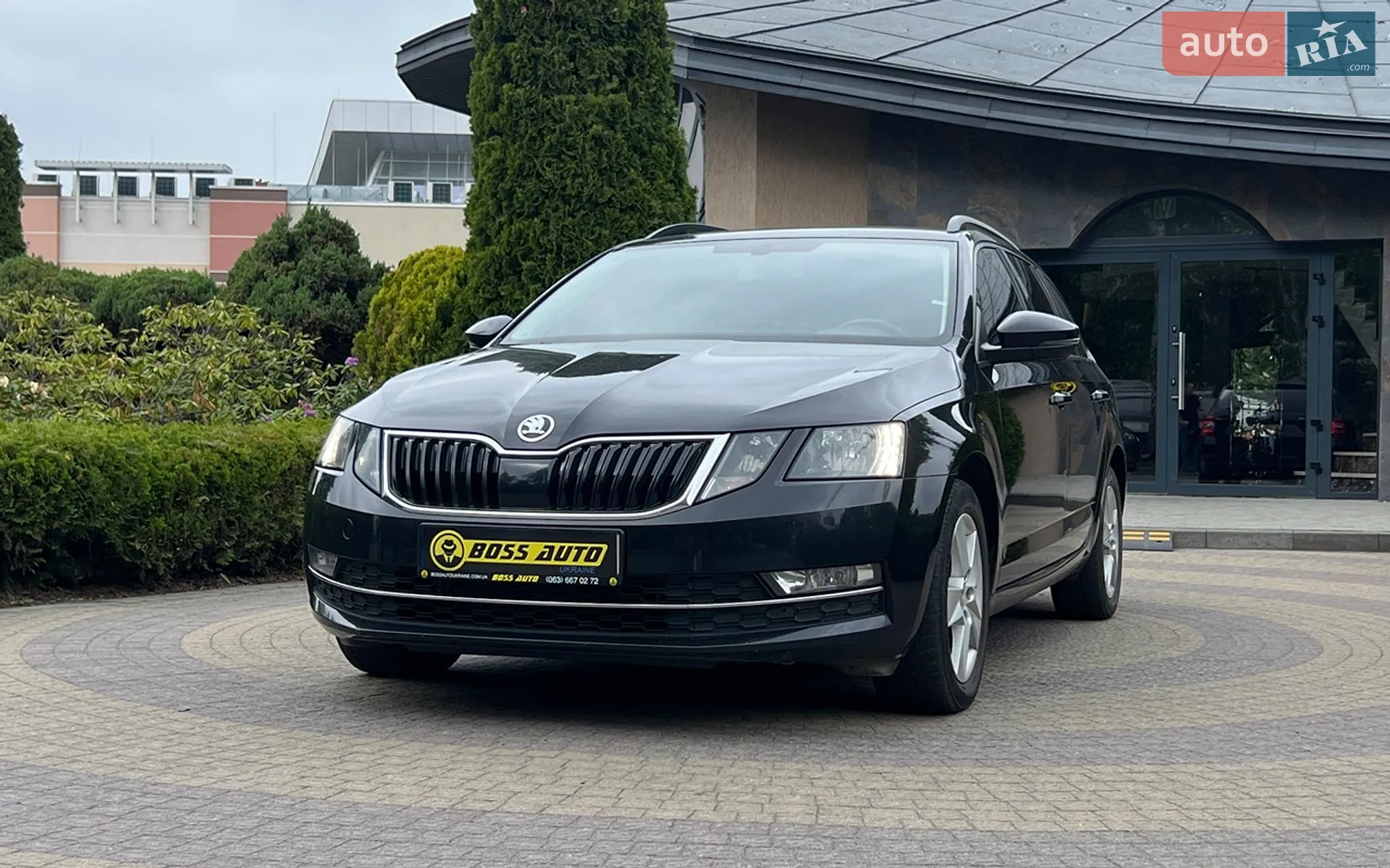 2019 Skoda Octavia - мініатюра 3