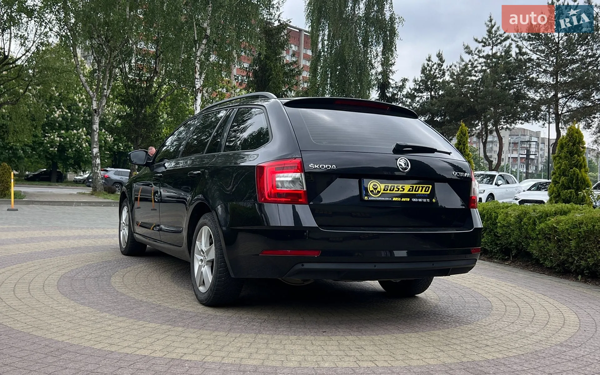 2019 Skoda Octavia - мініатюра 5