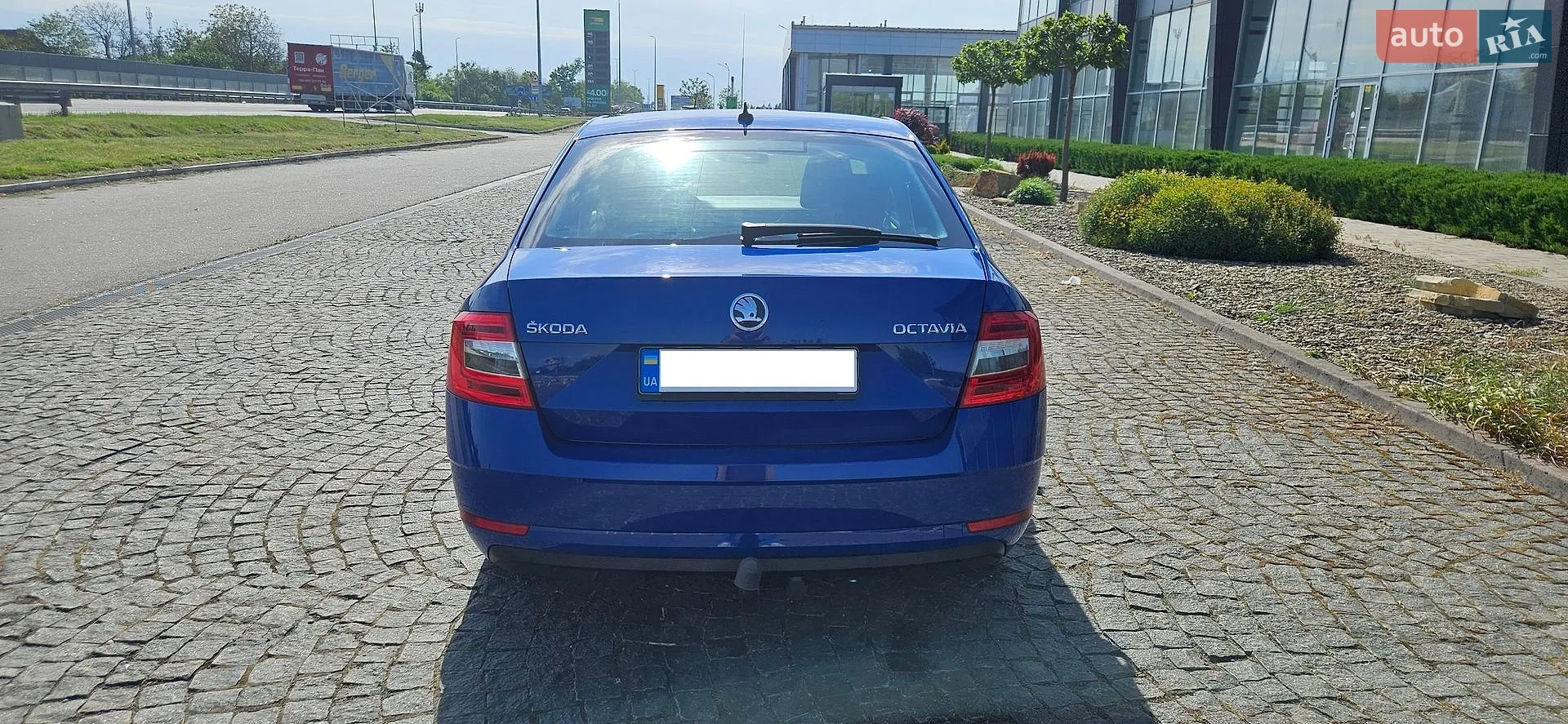 2019 Skoda Octavia - мініатюра 3