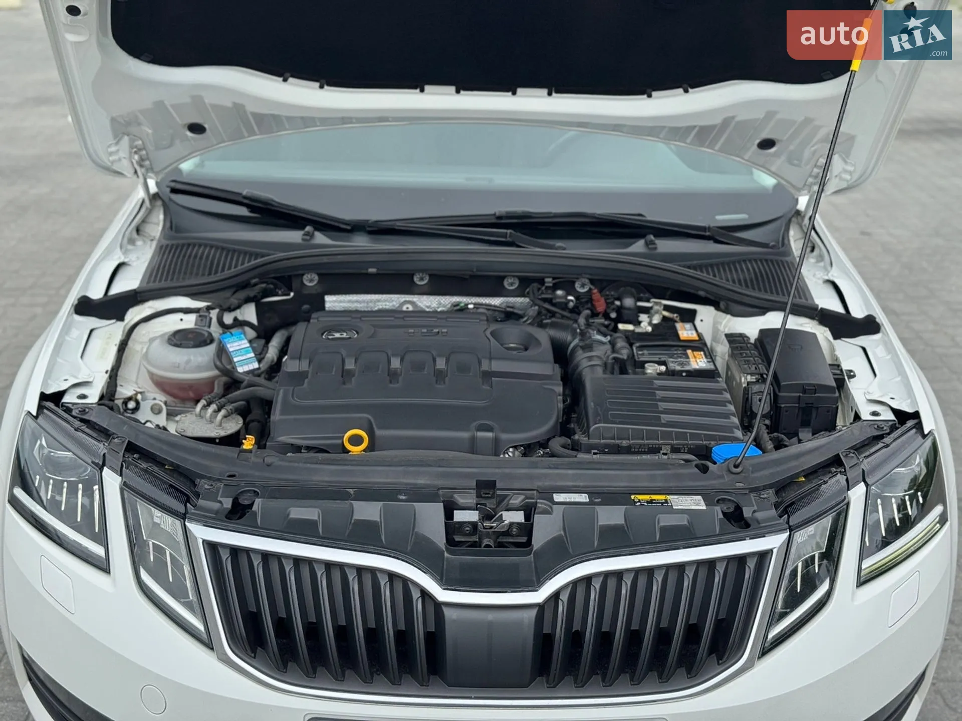 2018 Skoda Octavia - мініатюра 75