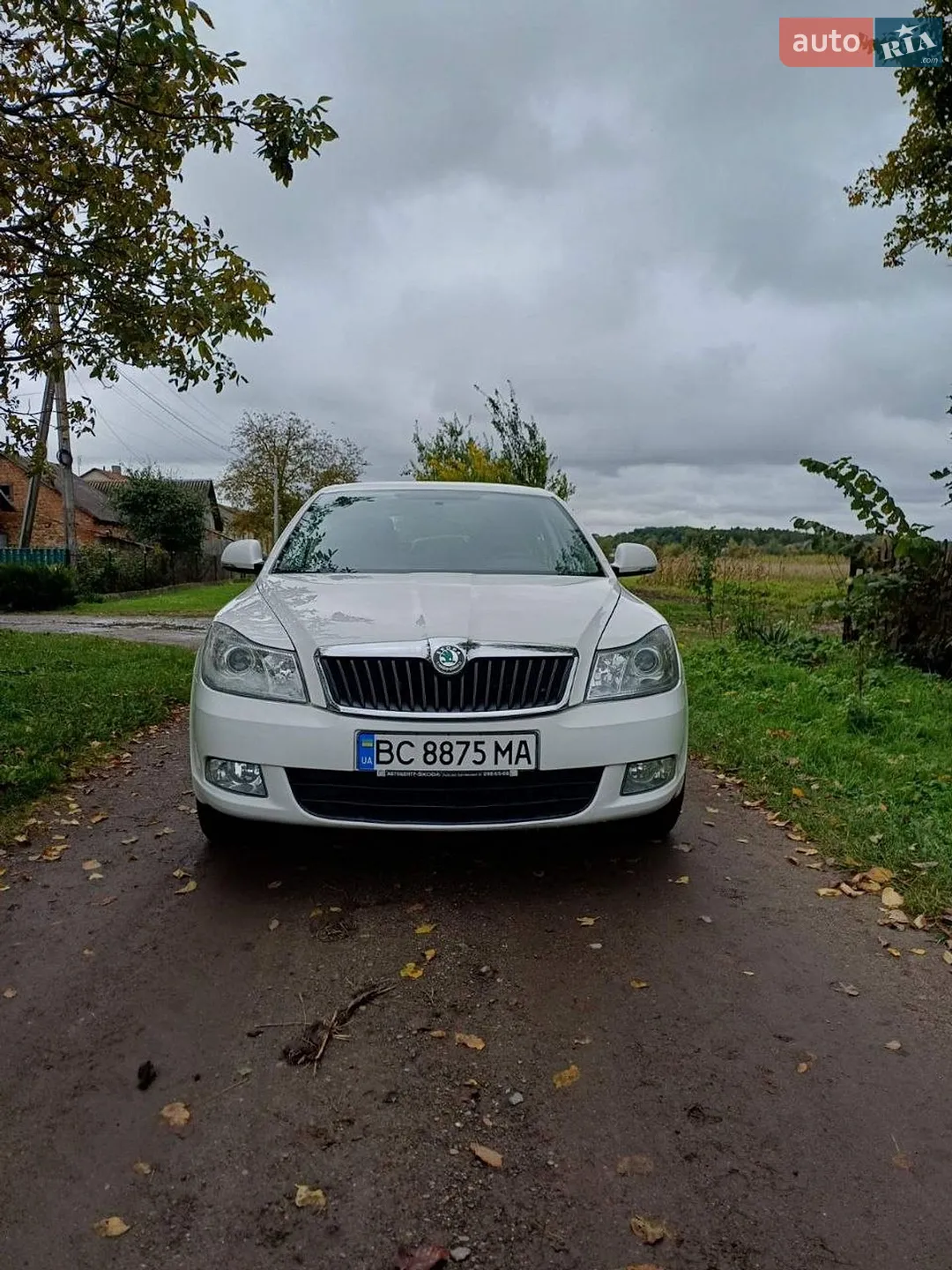 2011 Skoda Octavia - мініатюра 3