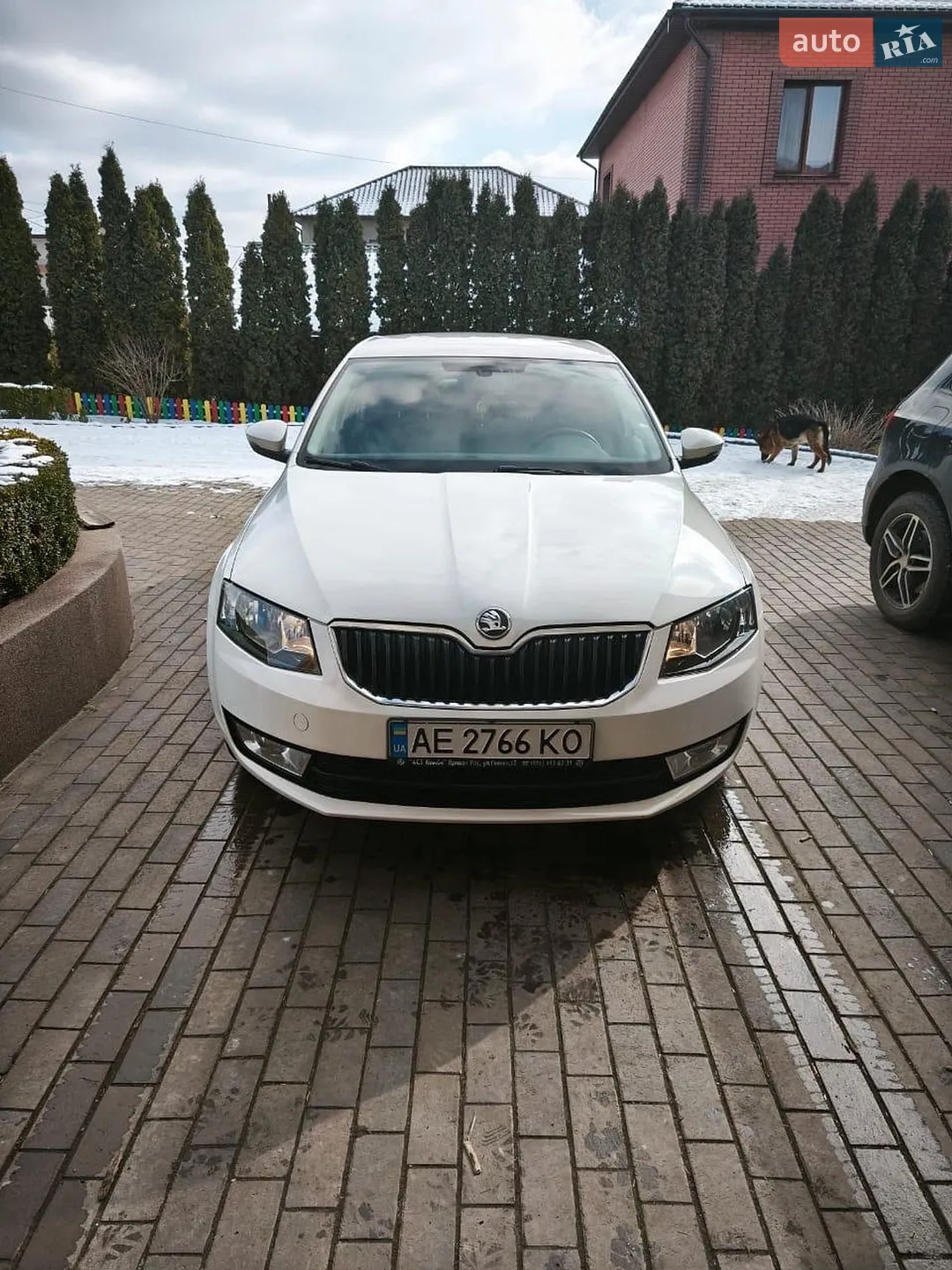 2013 Skoda Octavia - мініатюра 2