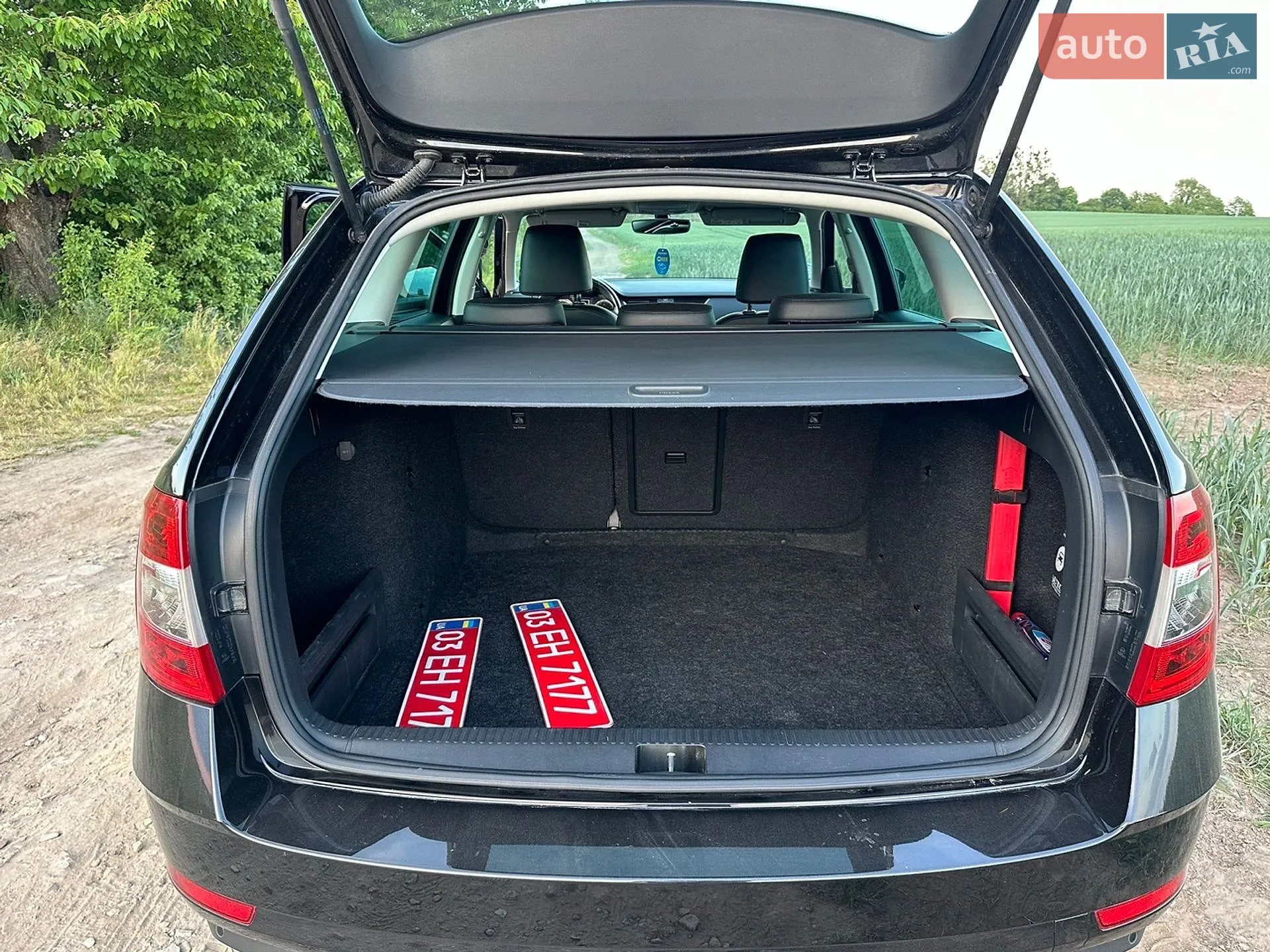2019 Skoda Octavia - мініатюра 12