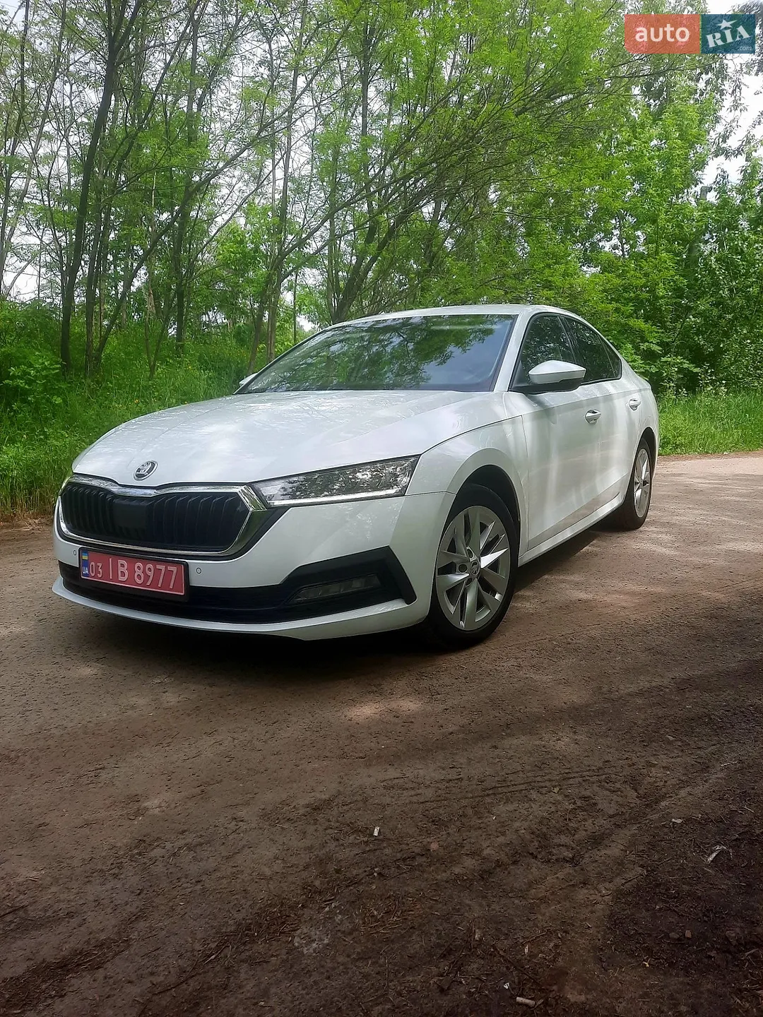 2020 Skoda Octavia - мініатюра 4