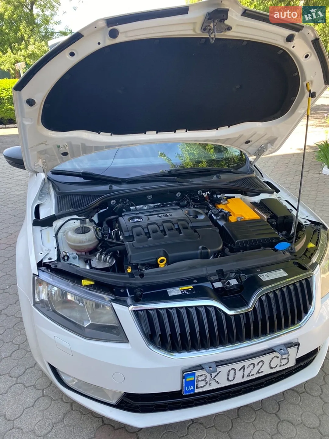 2015 Skoda Octavia - мініатюра 19