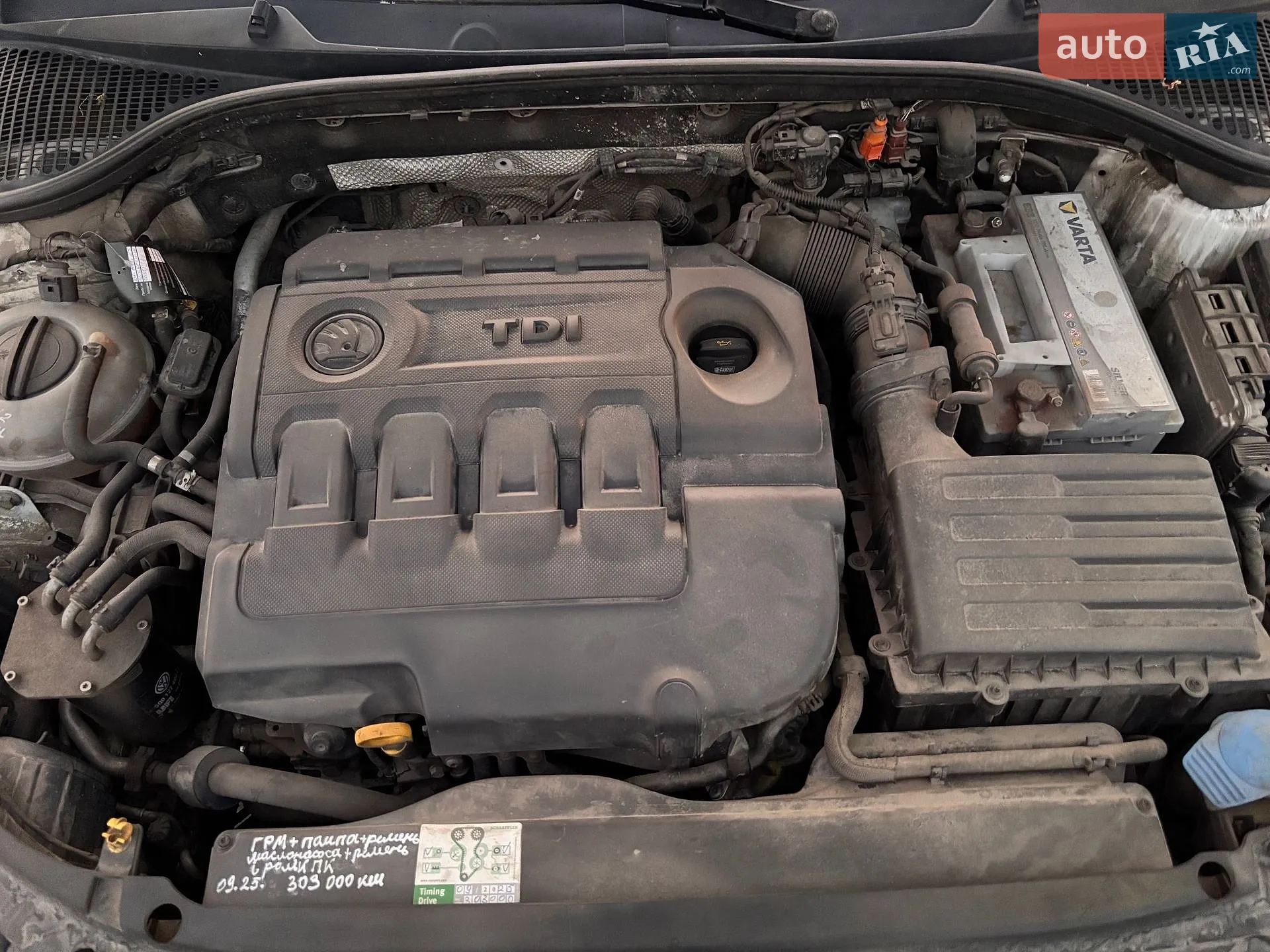 2013 Skoda Octavia - мініатюра 4
