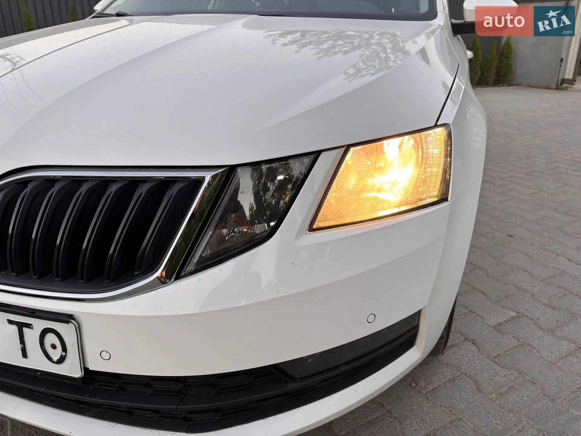 2019 Skoda Octavia - мініатюра 9