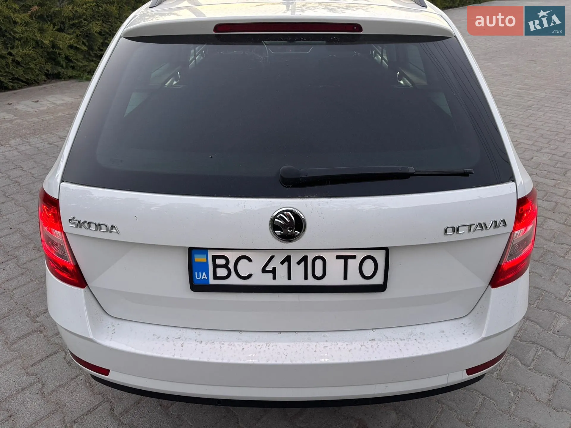 2019 Skoda Octavia - мініатюра 15