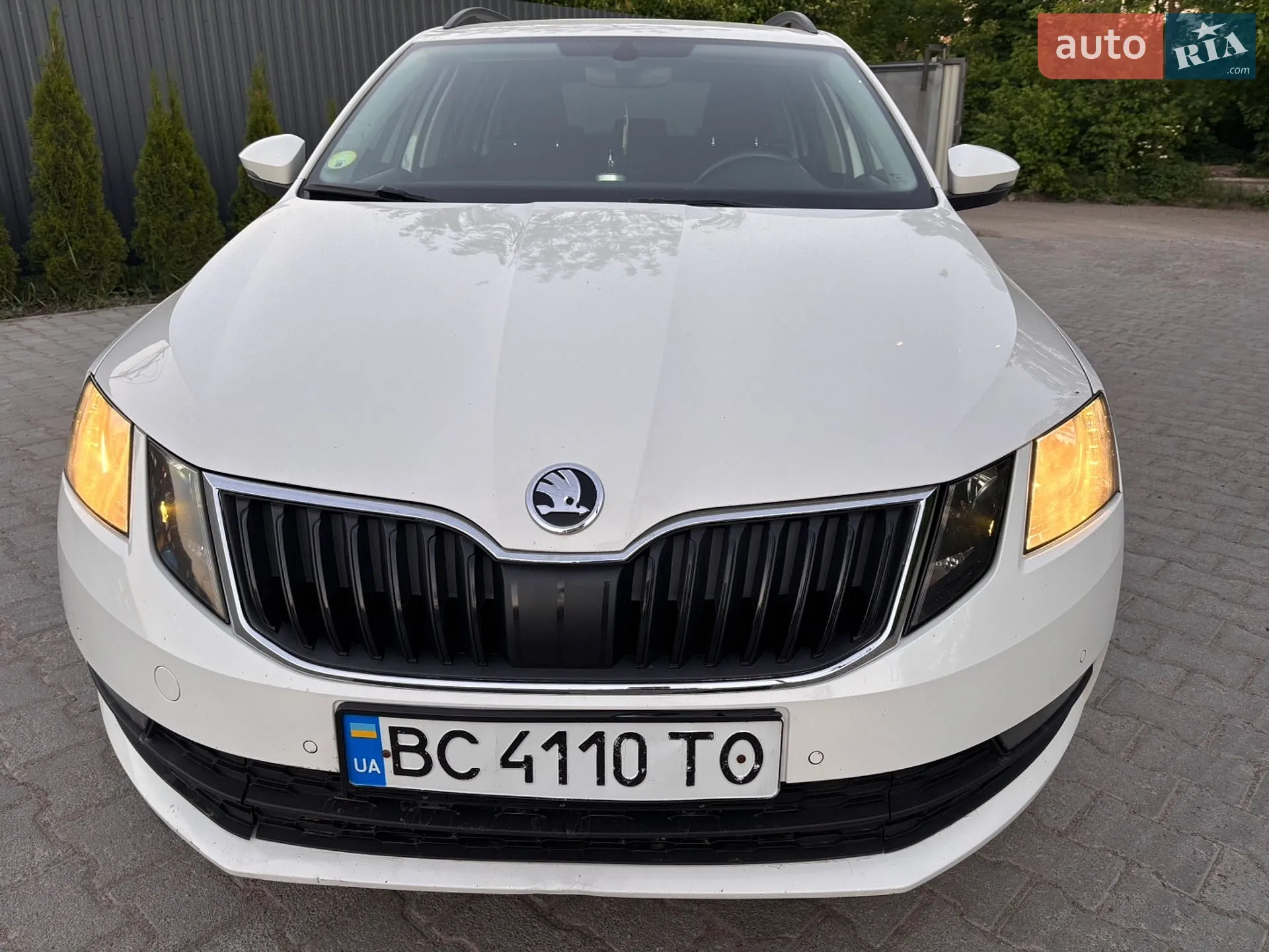 2019 Skoda Octavia - мініатюра 23