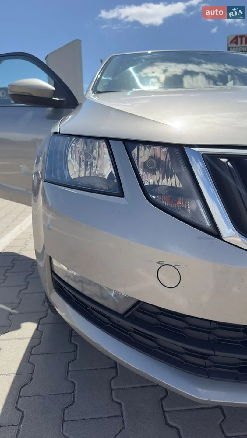 2017 Skoda Octavia - мініатюра 11