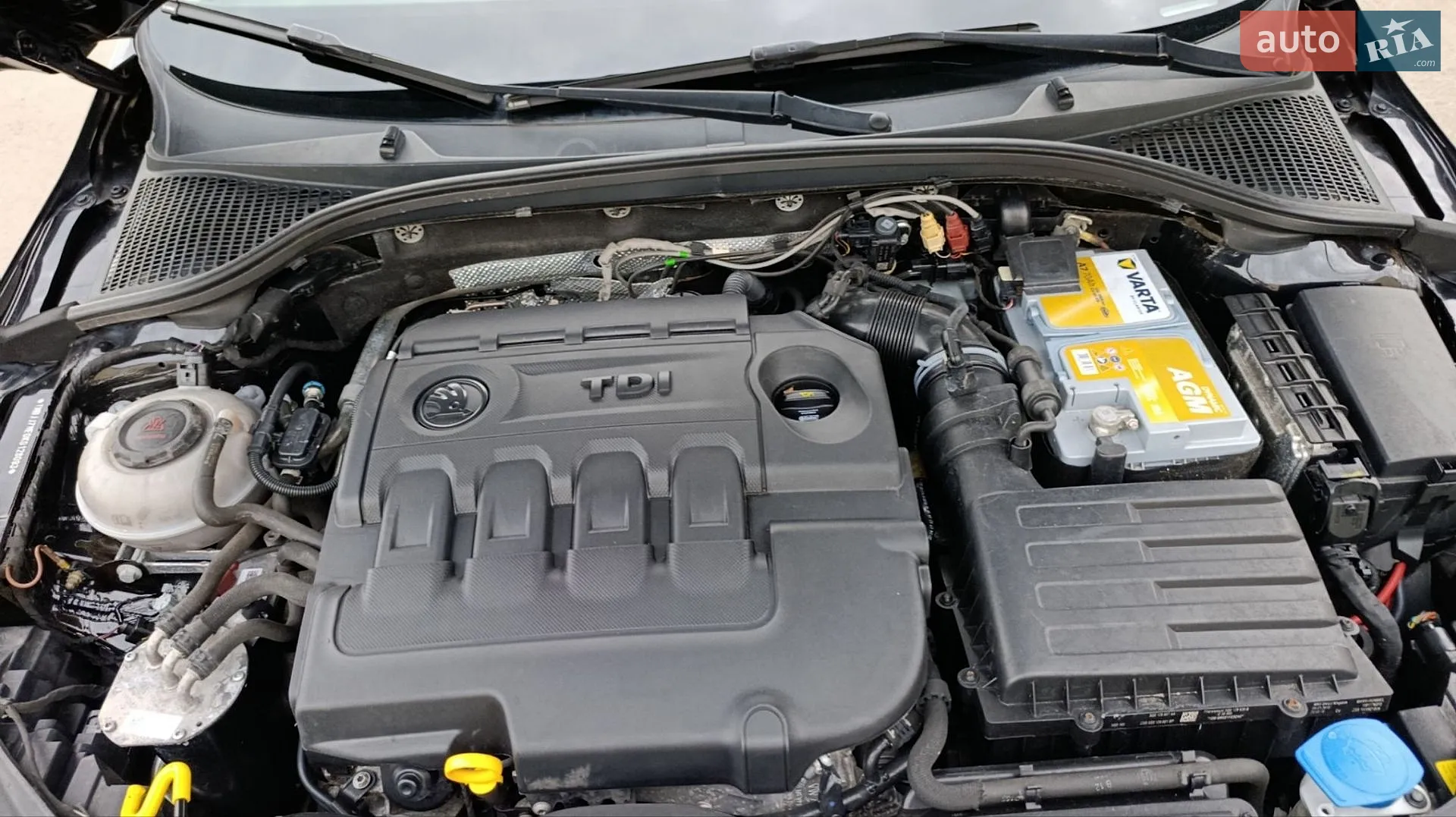 2019 Skoda Octavia - мініатюра 65