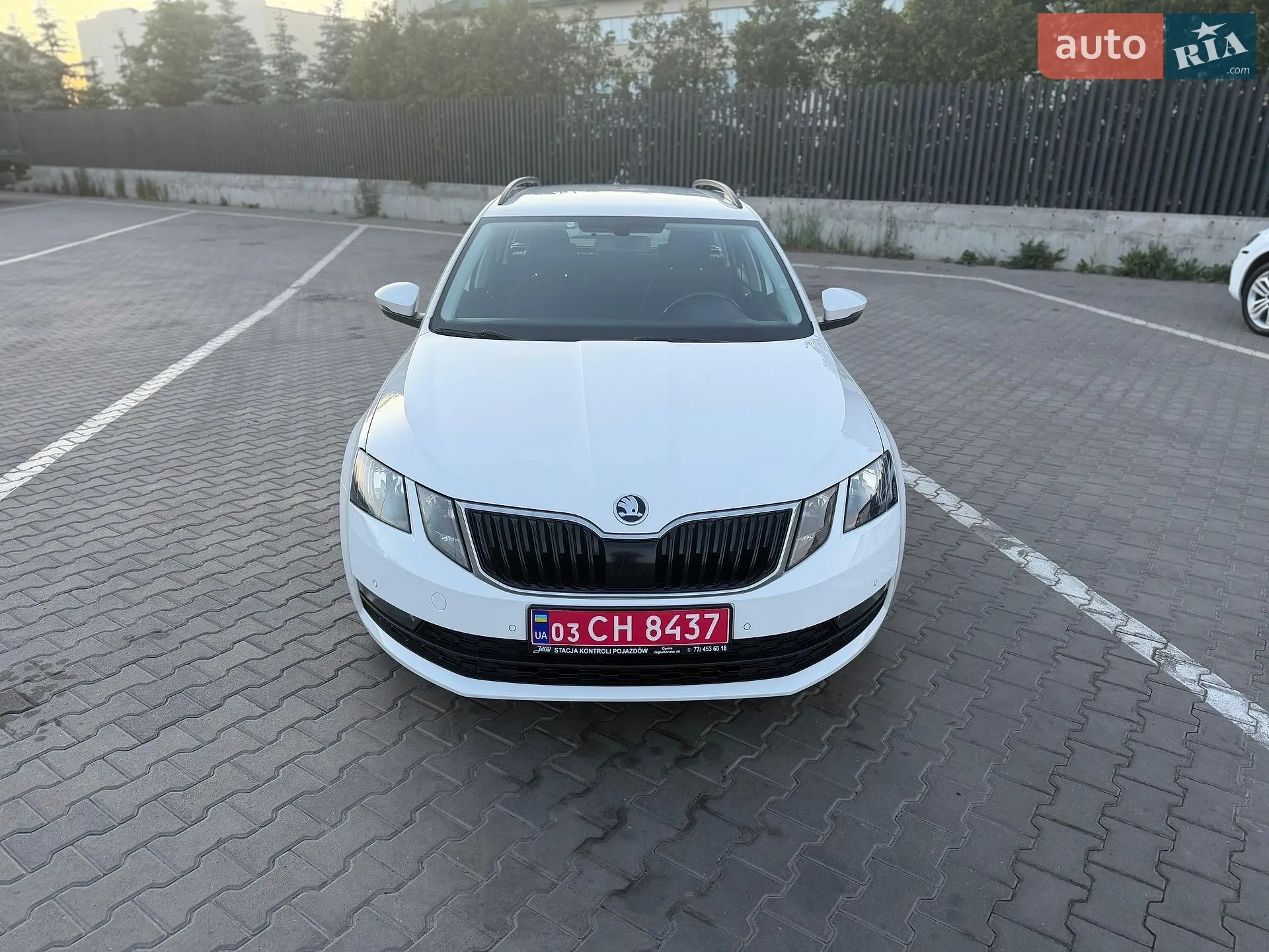 2020 Skoda Octavia - мініатюра 3