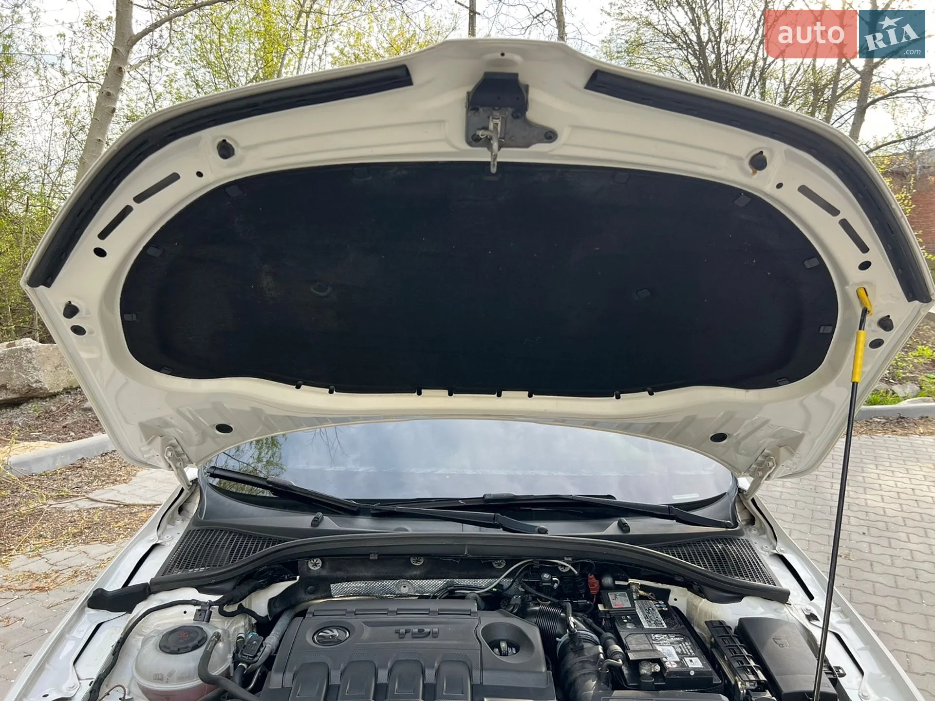 2018 Skoda Octavia - мініатюра 42