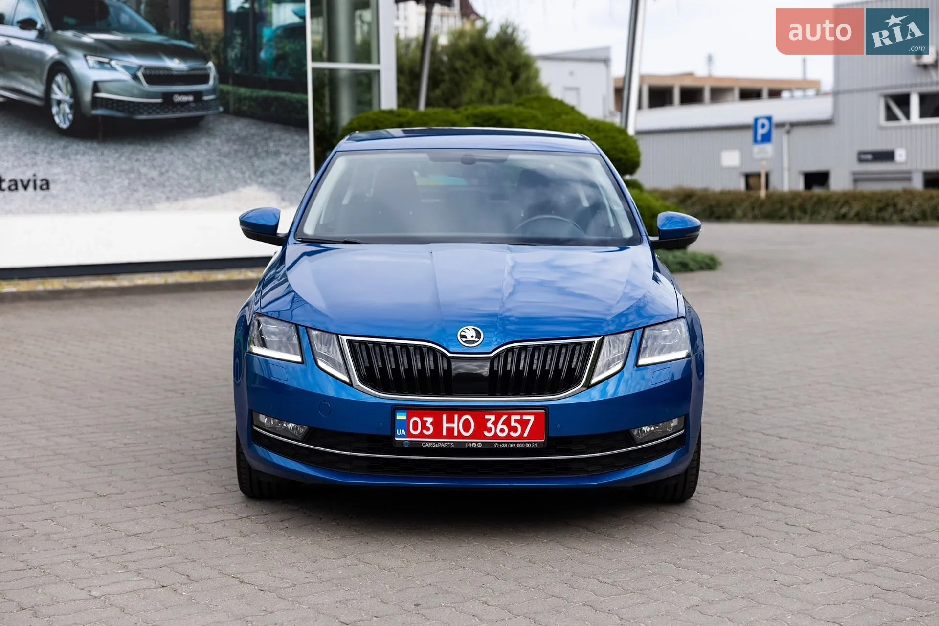 2019 Skoda Octavia - мініатюра 12
