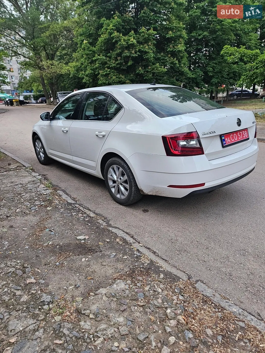 2017 Skoda Octavia - мініатюра 4