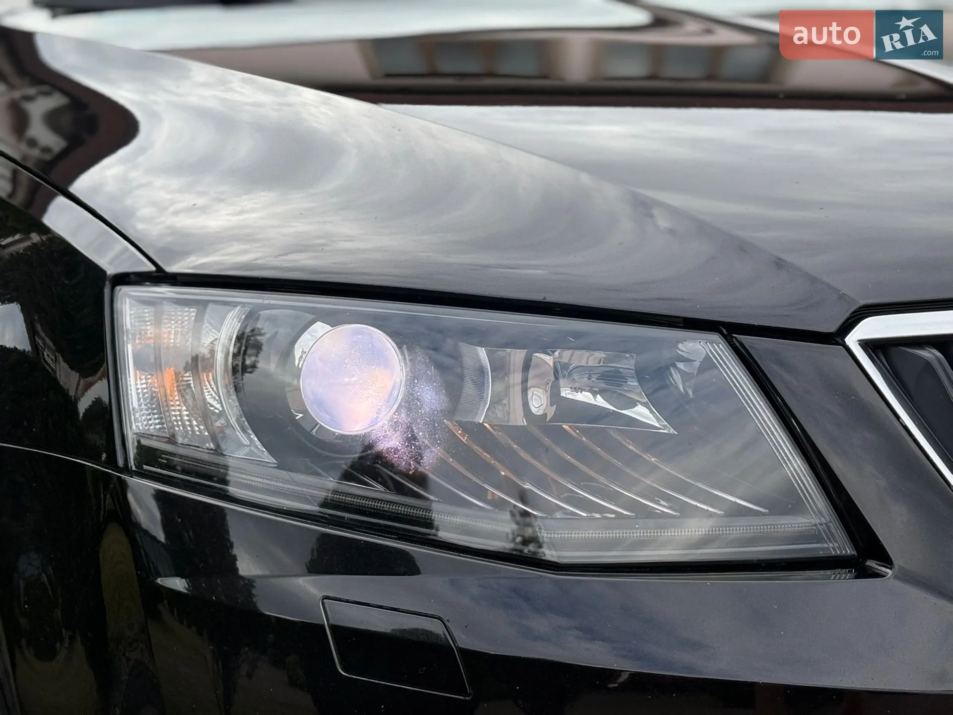 2017 Skoda Octavia - мініатюра 33