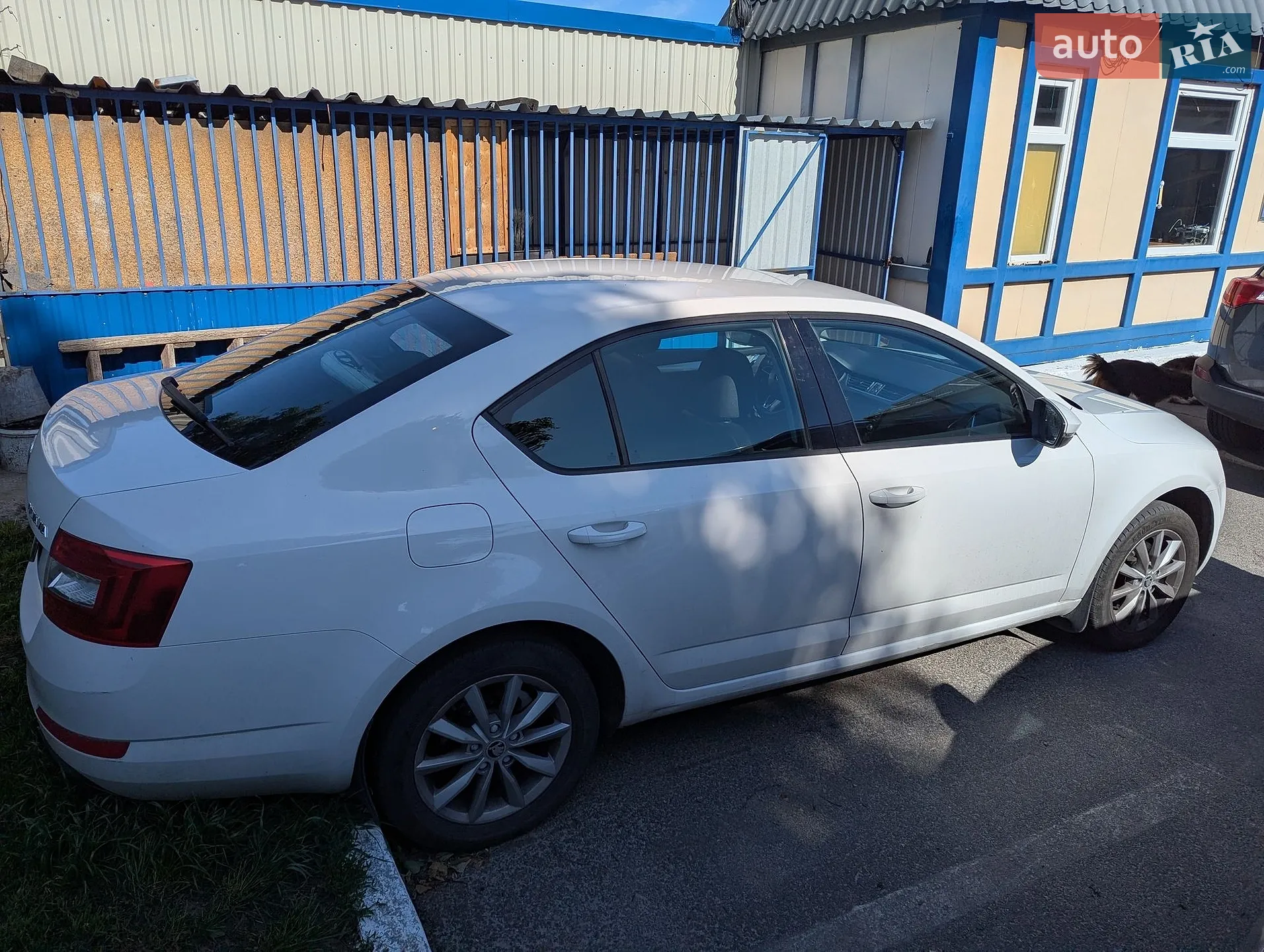2014 Skoda Octavia - мініатюра 4