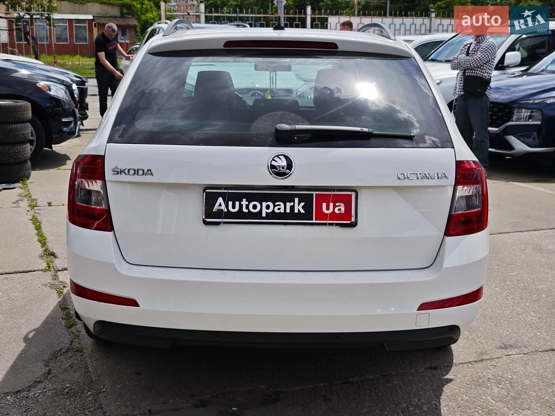 2015 Skoda Octavia - мініатюра 12