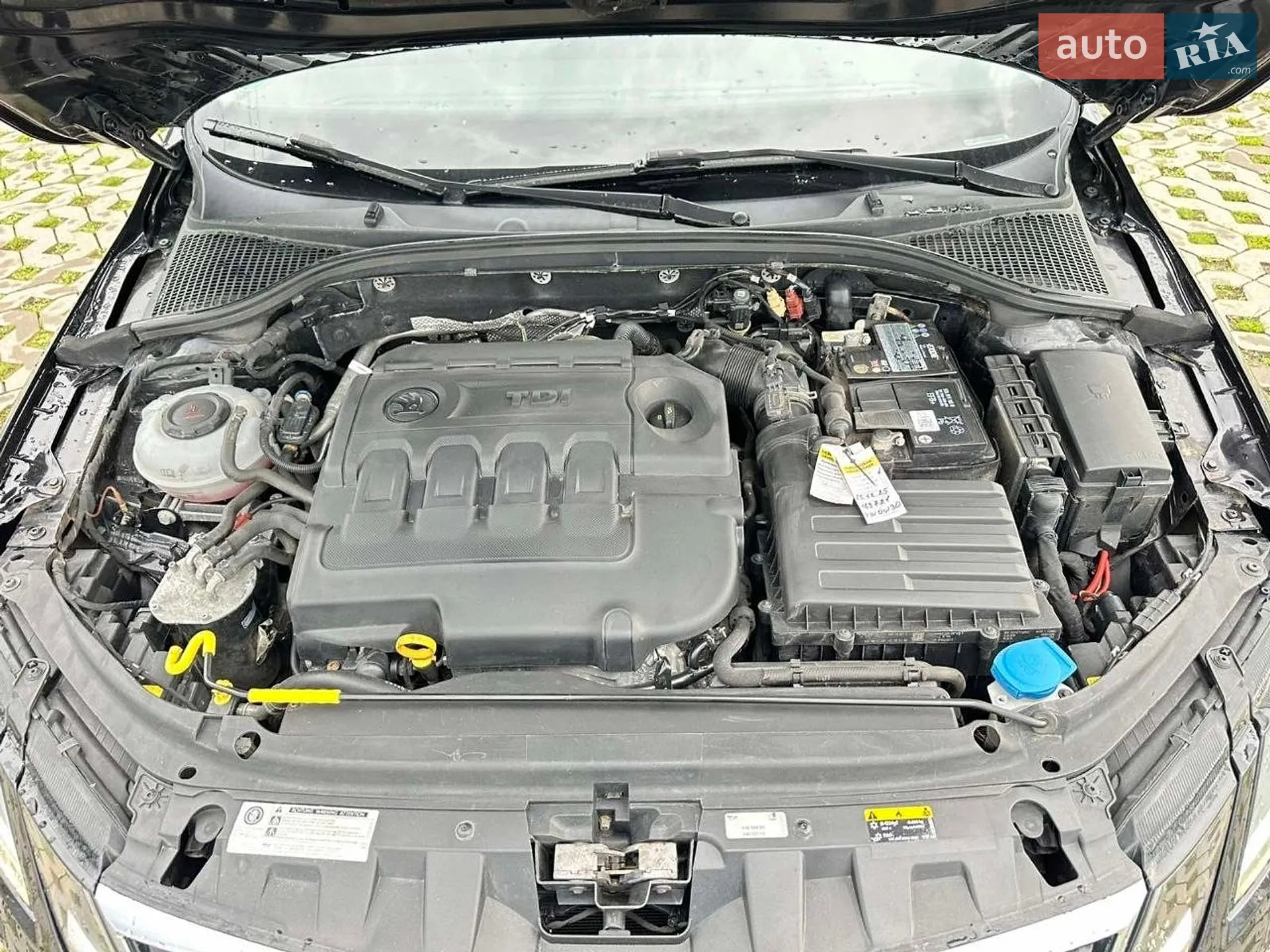 2018 Skoda Octavia - мініатюра 17