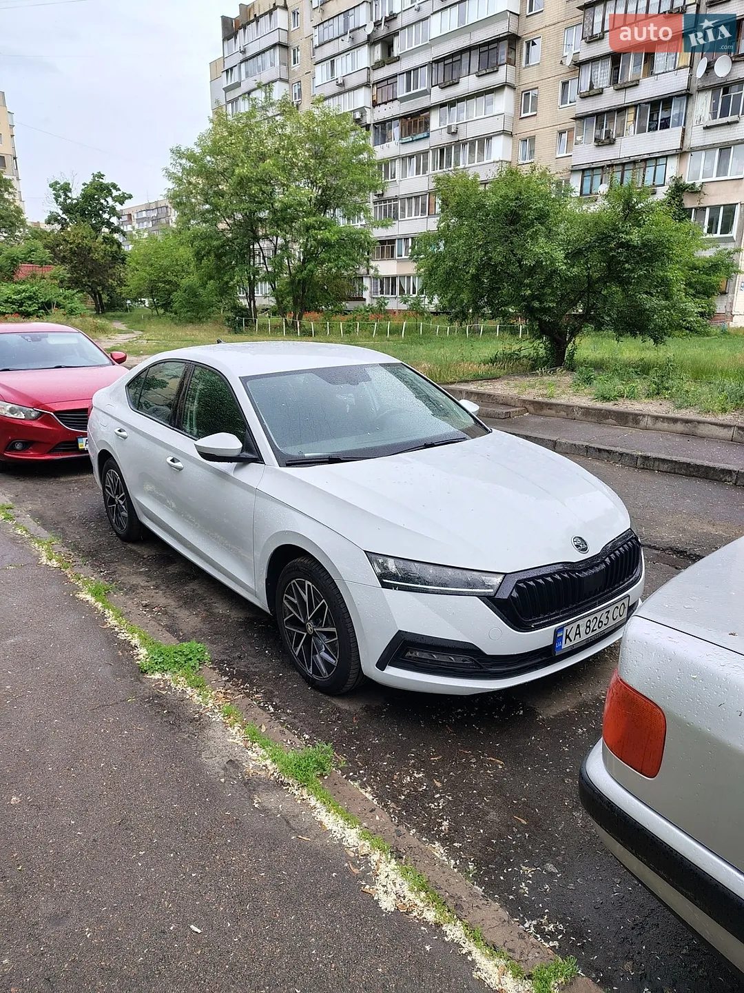 2020 Skoda Octavia - мініатюра 4