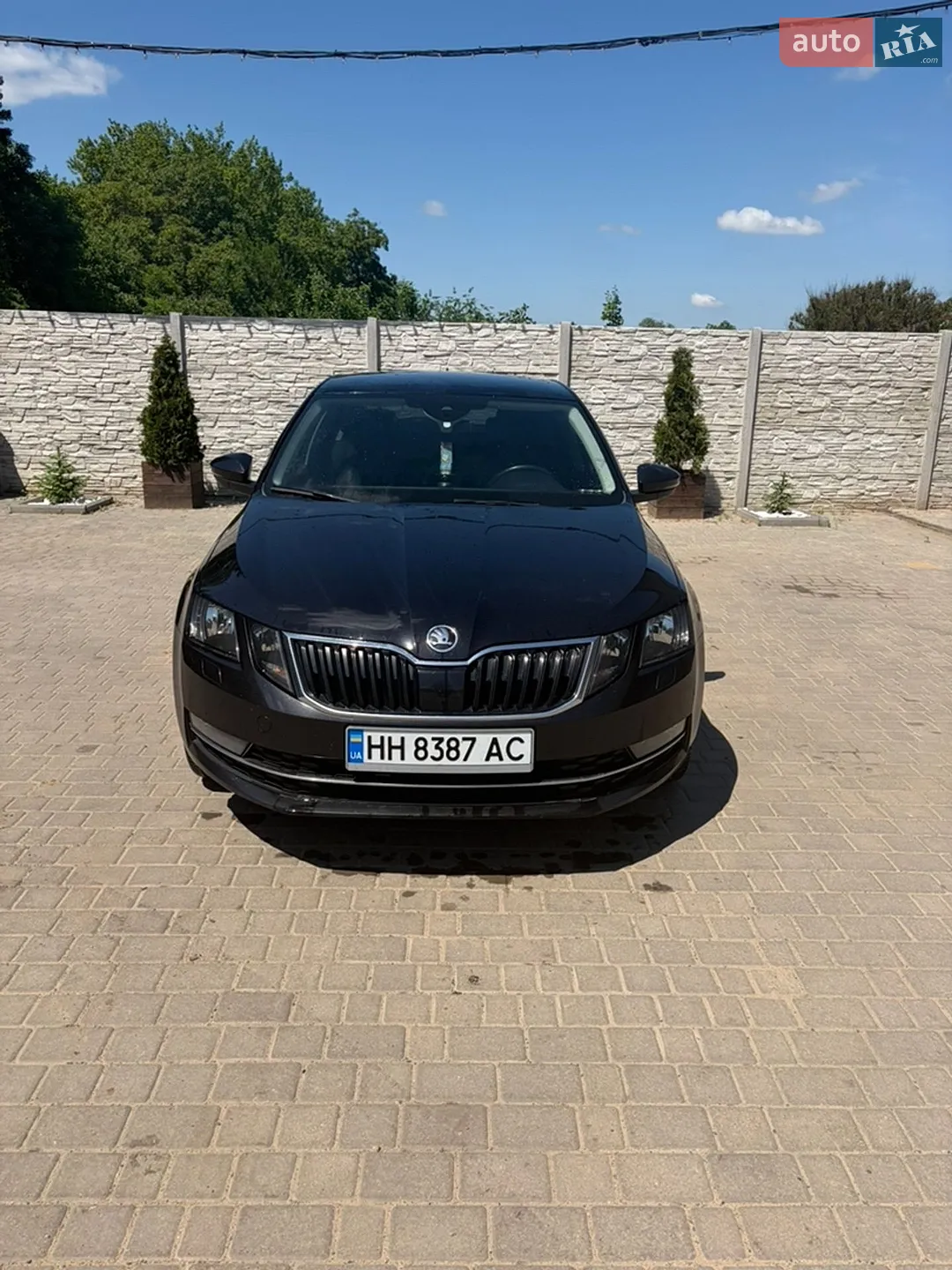 2018 Skoda Octavia - мініатюра 2