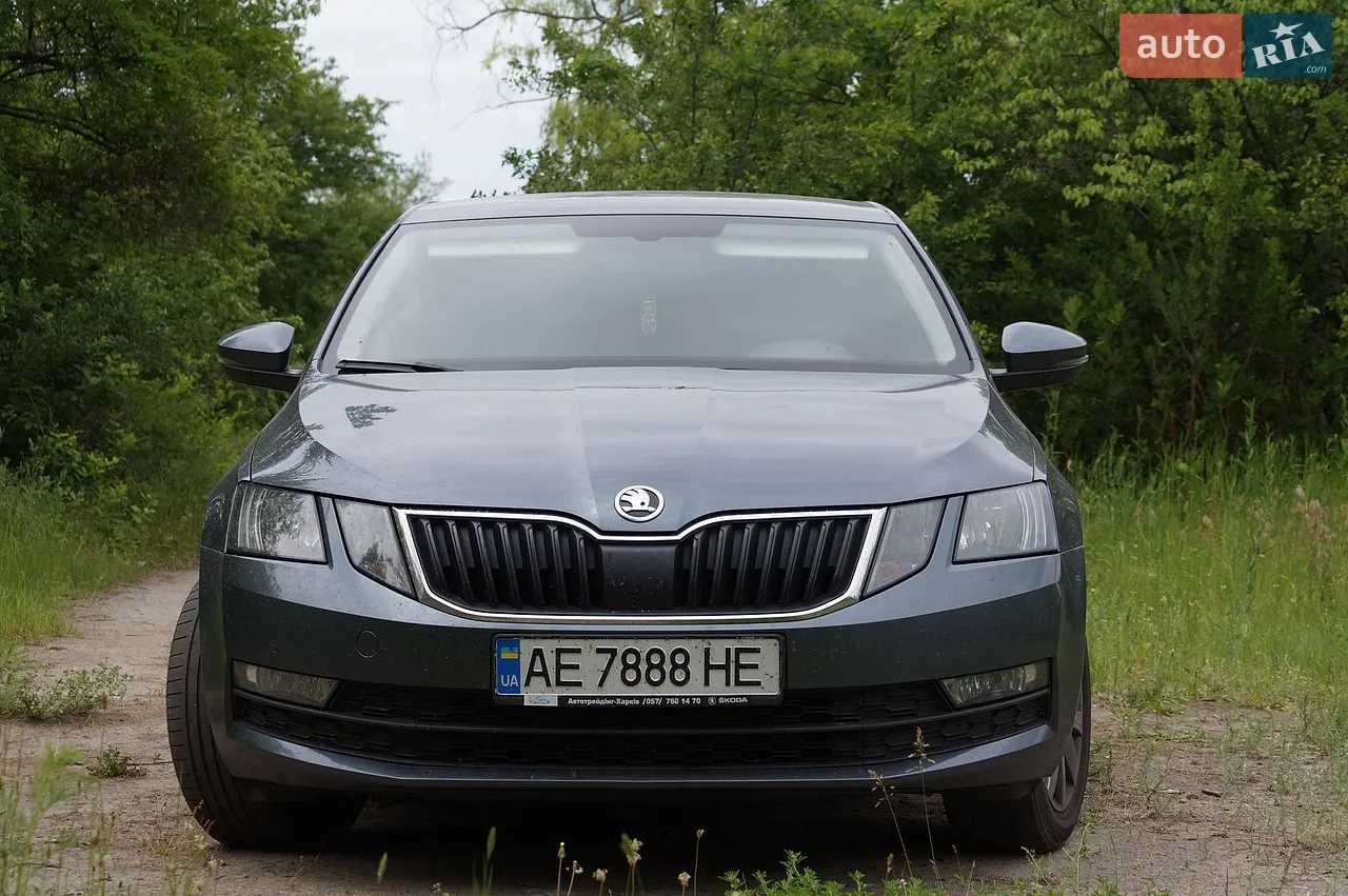 2019 Skoda Octavia - мініатюра 10
