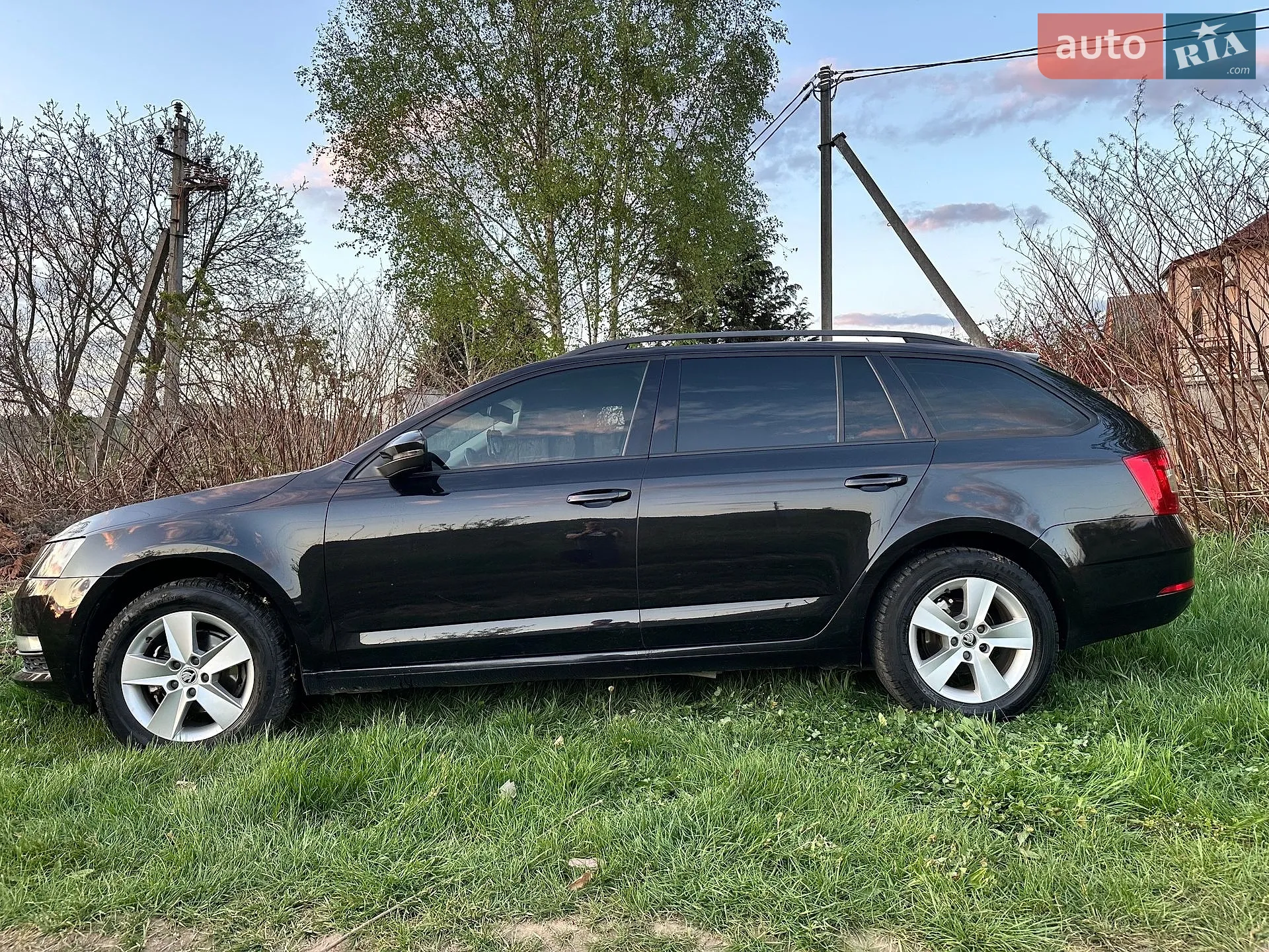 2017 Skoda Octavia - мініатюра 13