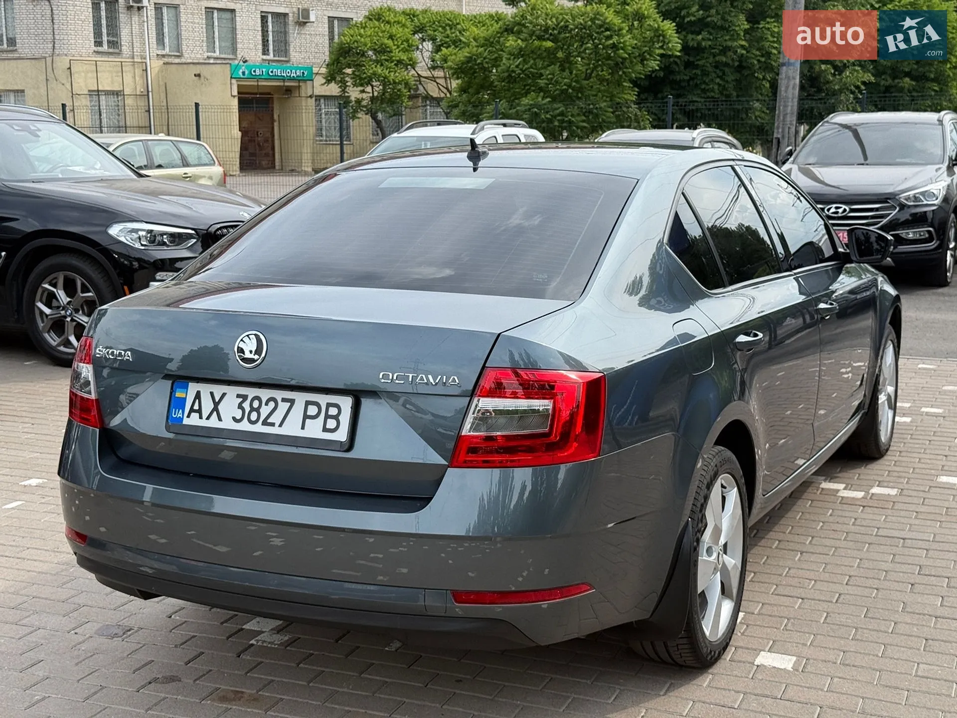 2019 Skoda Octavia - мініатюра 4