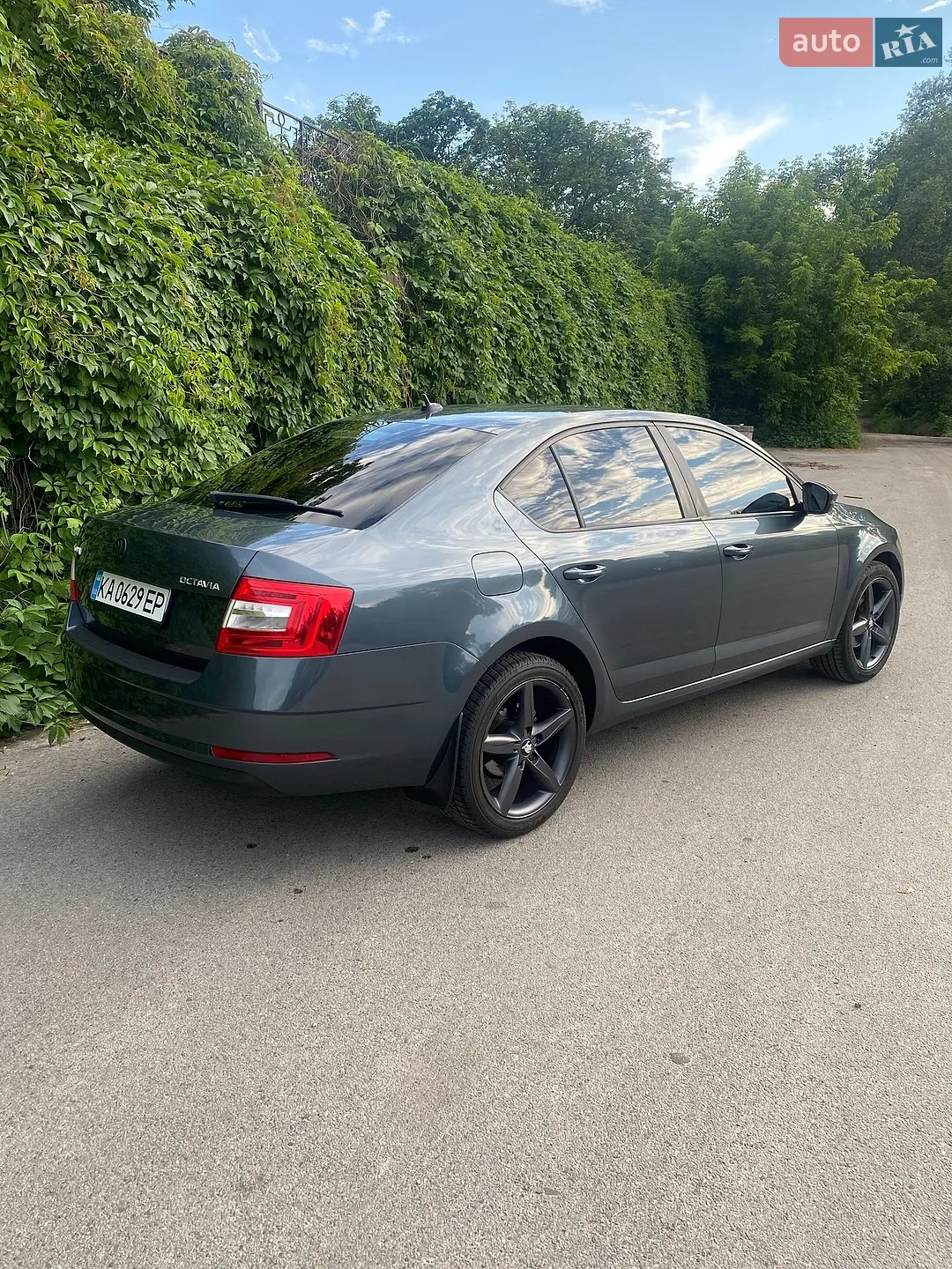 2017 Skoda Octavia - мініатюра 2