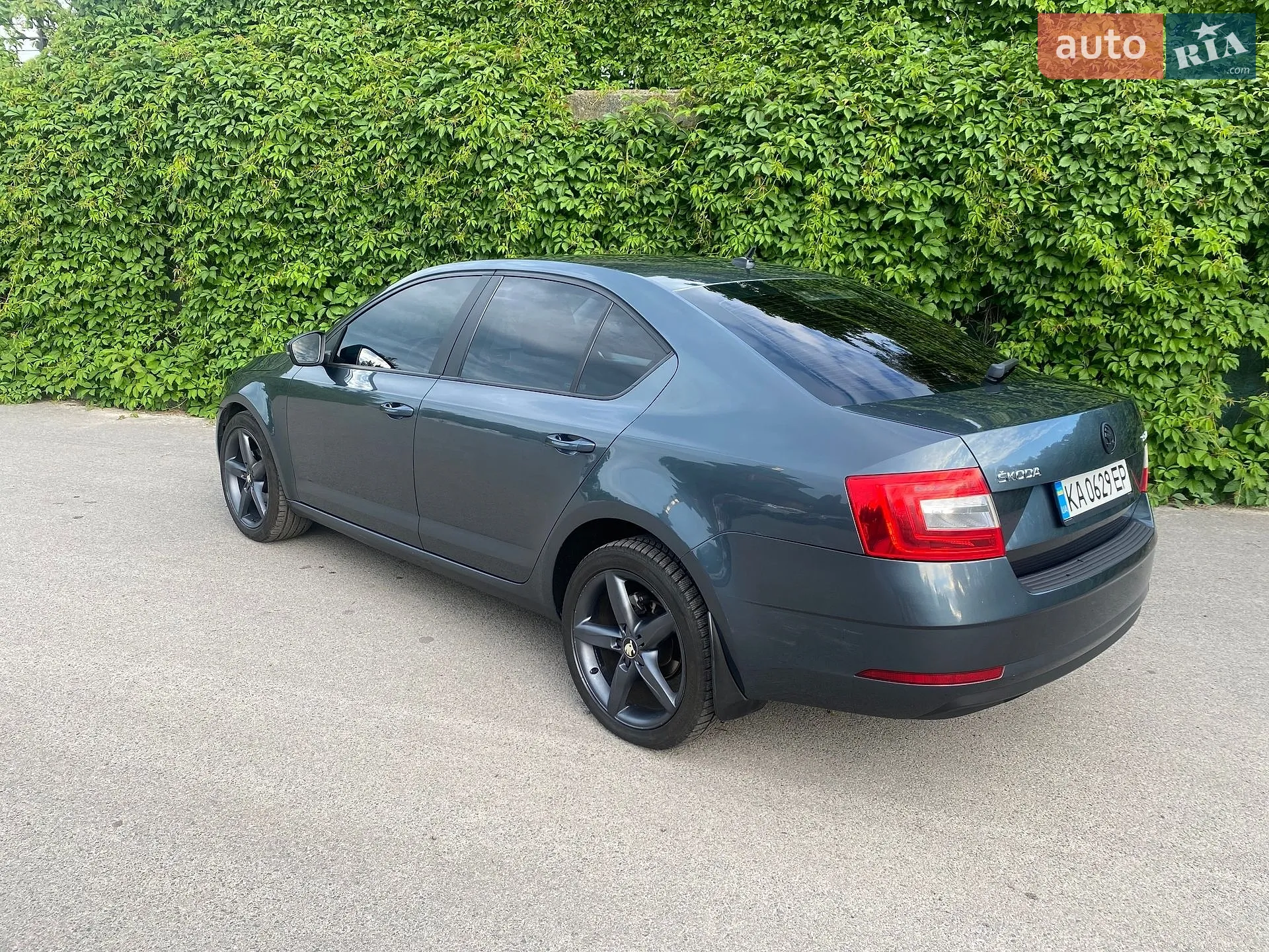 2017 Skoda Octavia - мініатюра 7