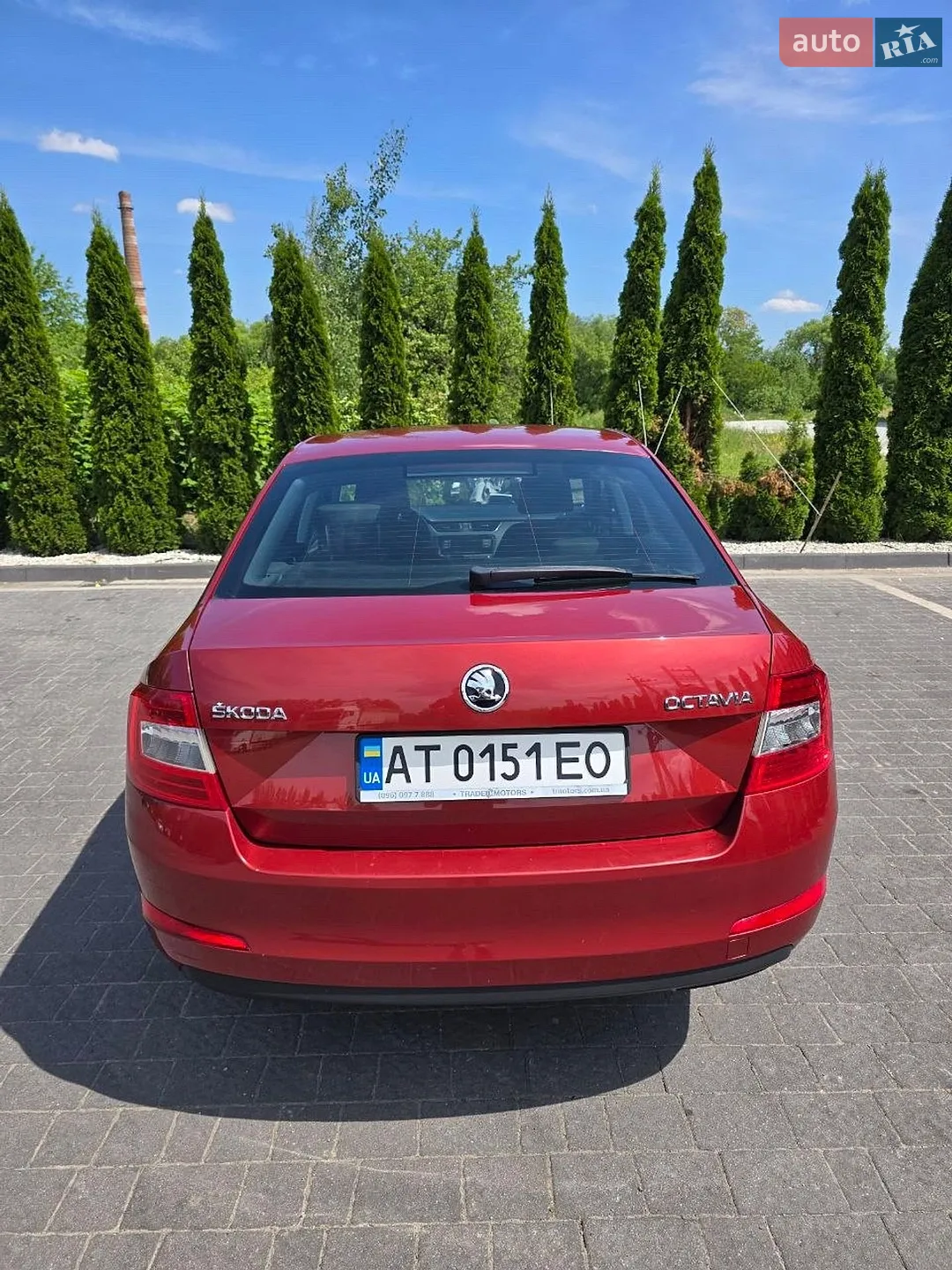 2016 Skoda Octavia - мініатюра 6