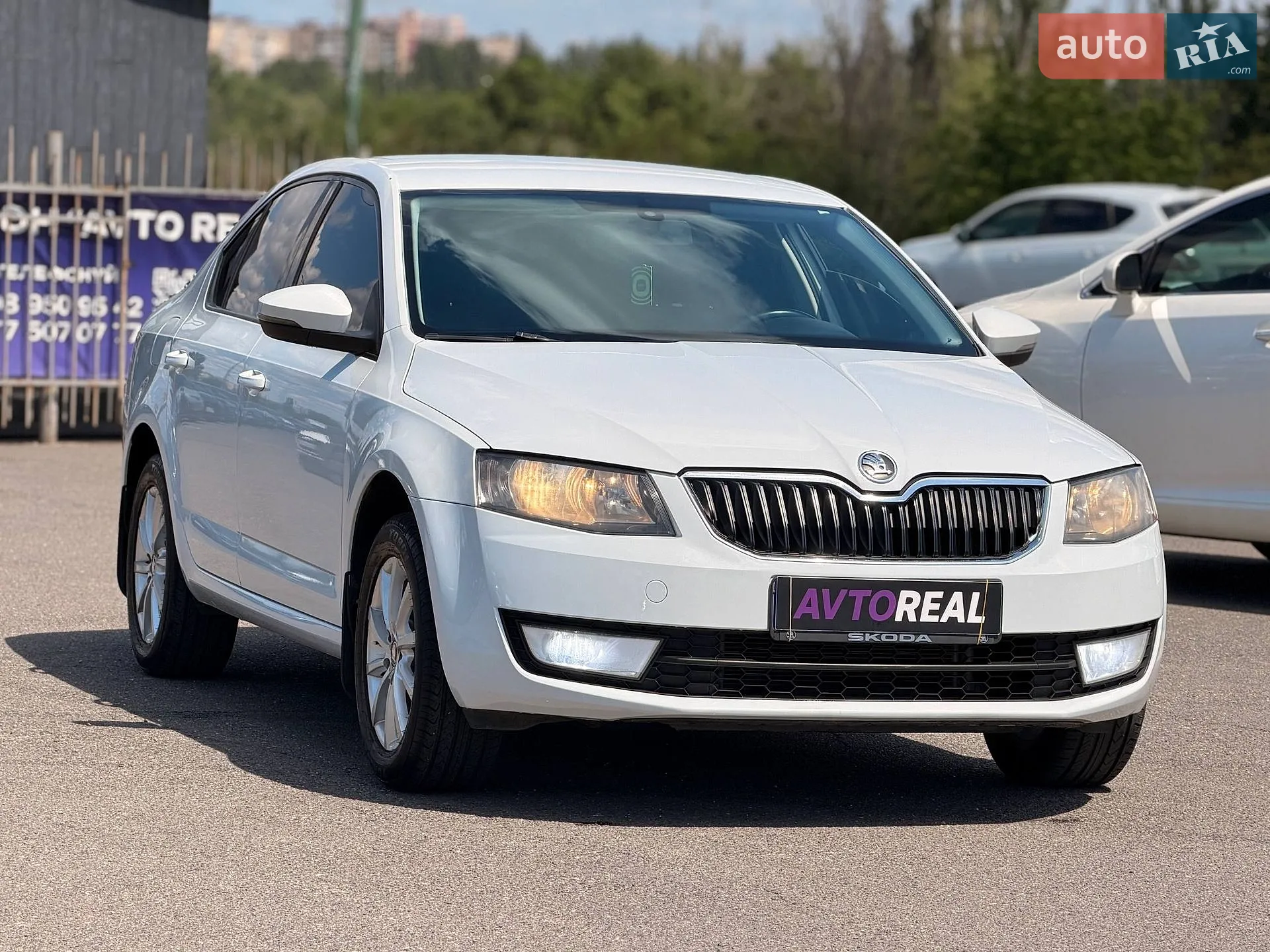 2014 Skoda Octavia - мініатюра 10