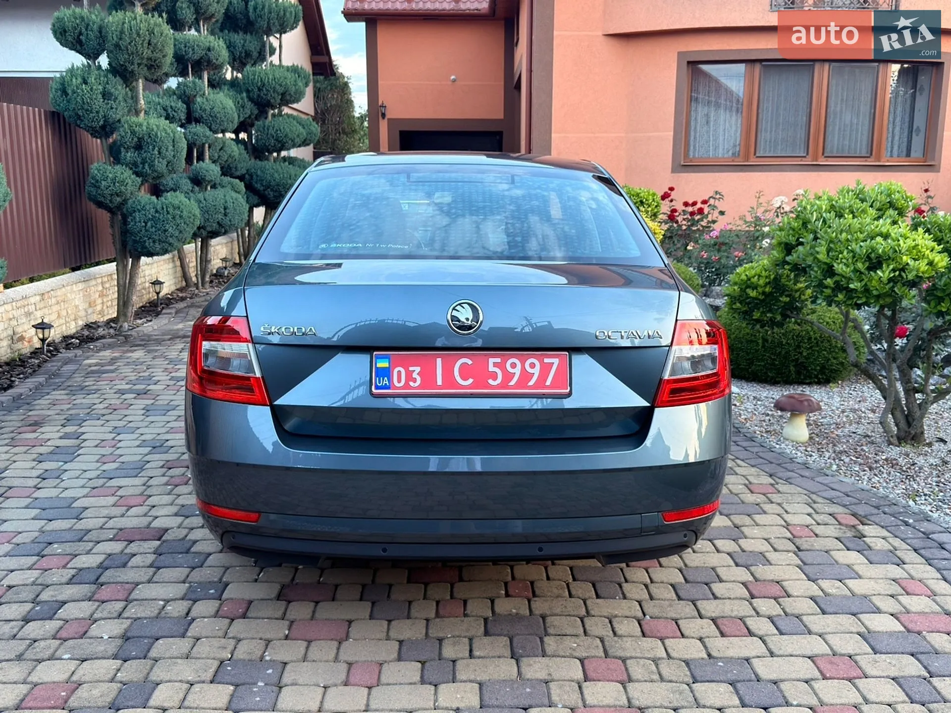 2018 Skoda Octavia - мініатюра 6
